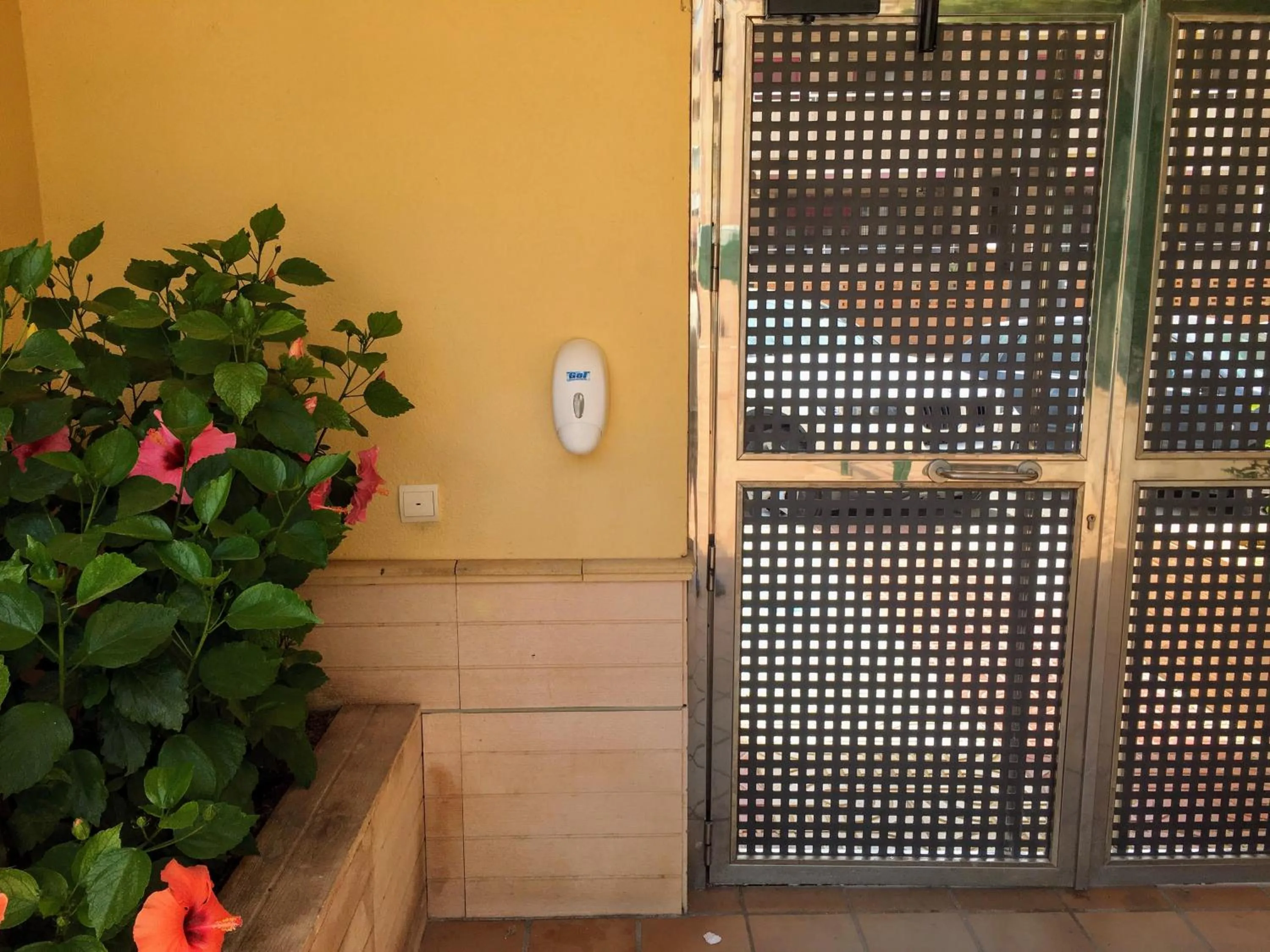 Apartment Brisa Marina