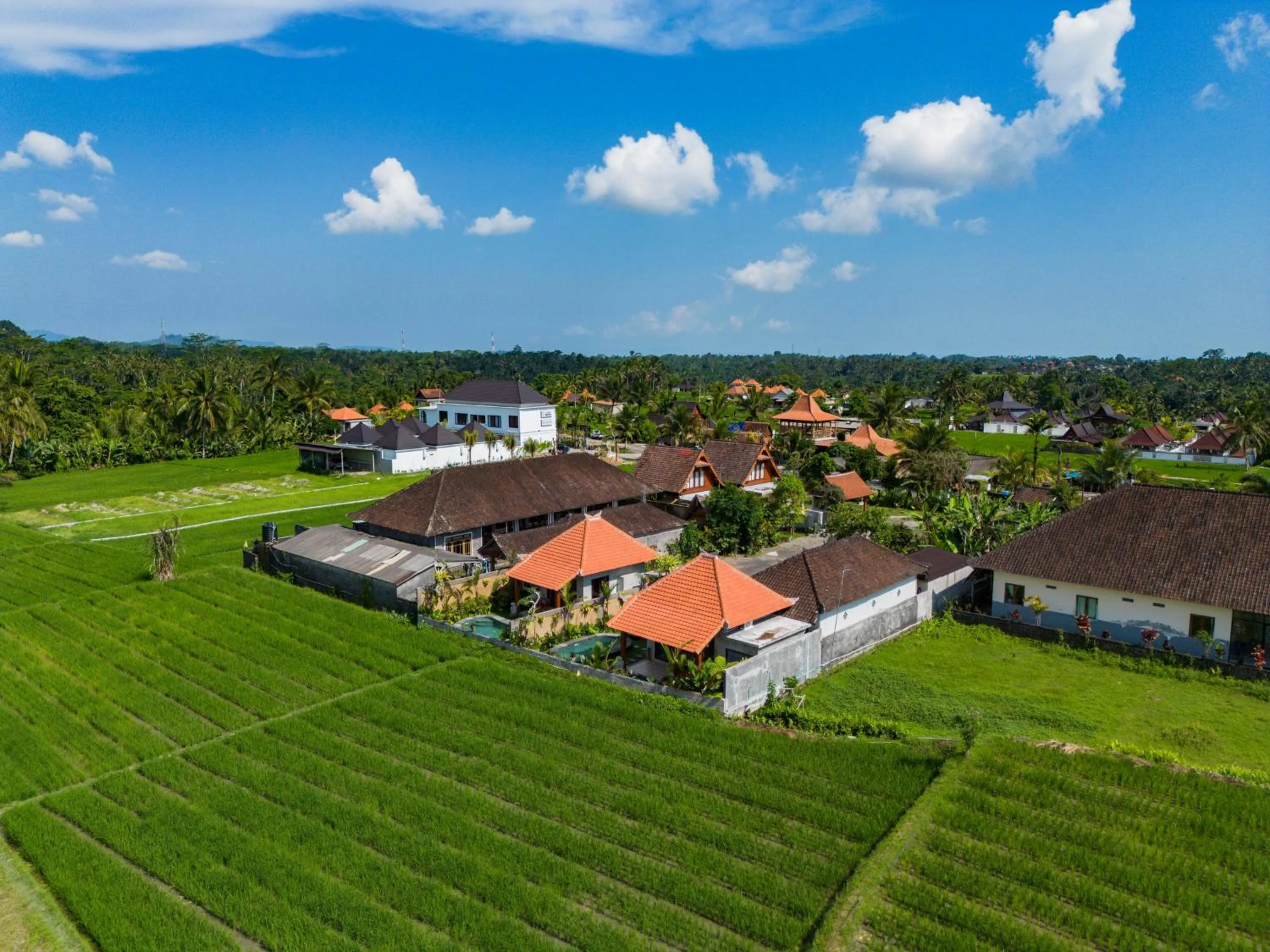Spring in Seelong Villa Ubud by Dhananjaya Hospitality