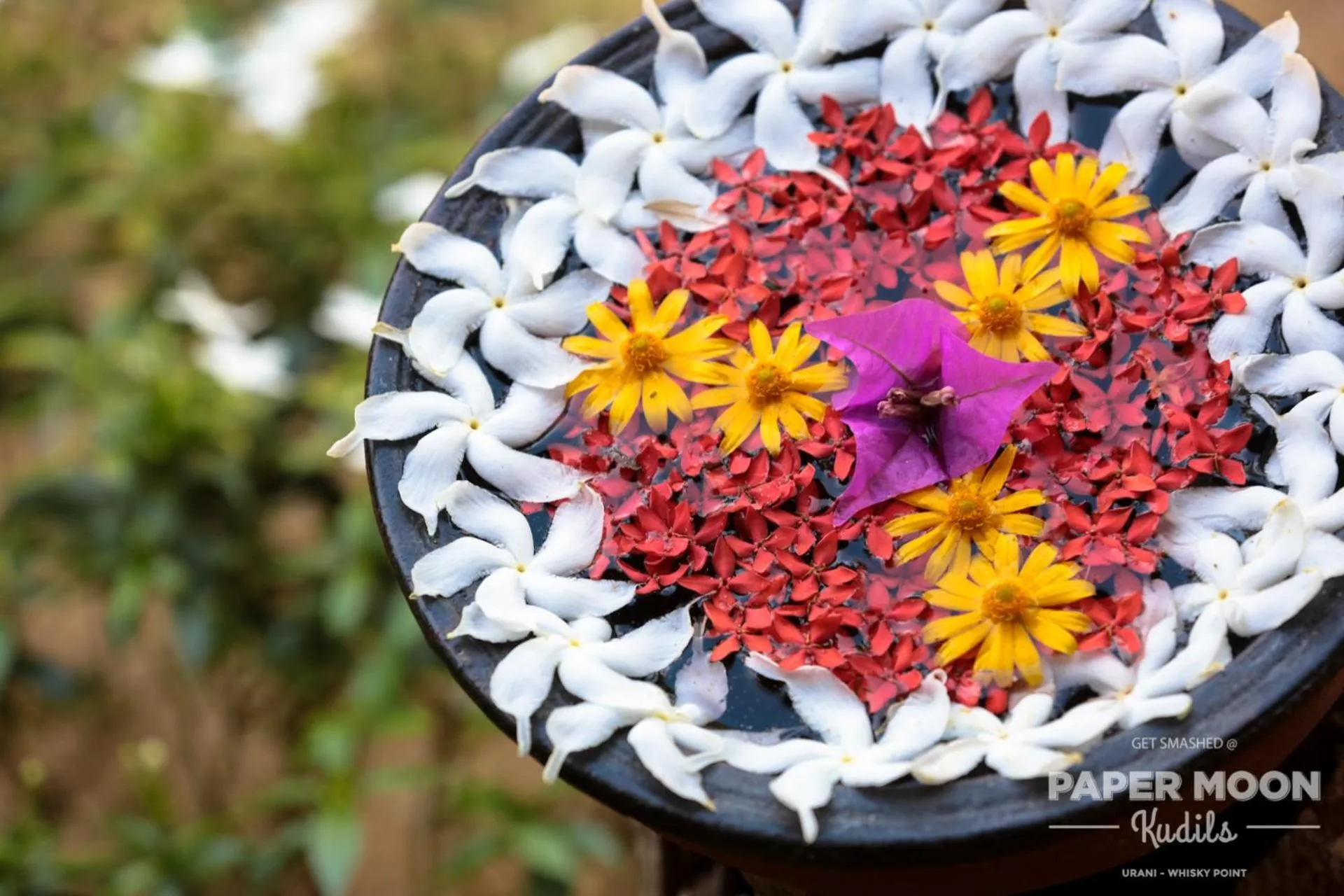 Decorative detail in Paper Moon Kudils