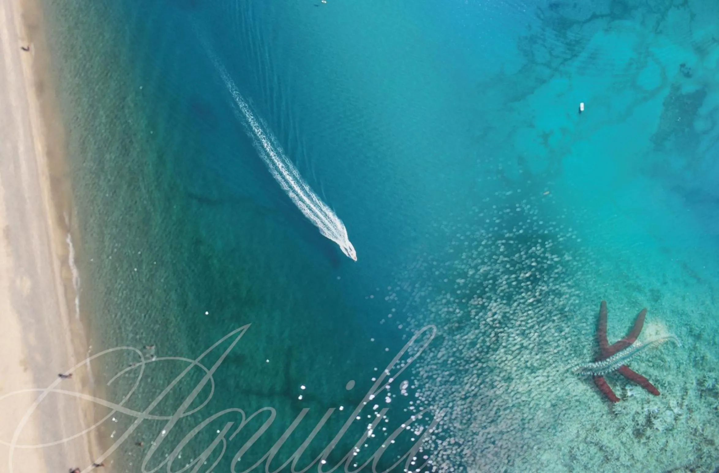 Sea view, Bird's-eye View in Villaggio & Residence Club Aquilia