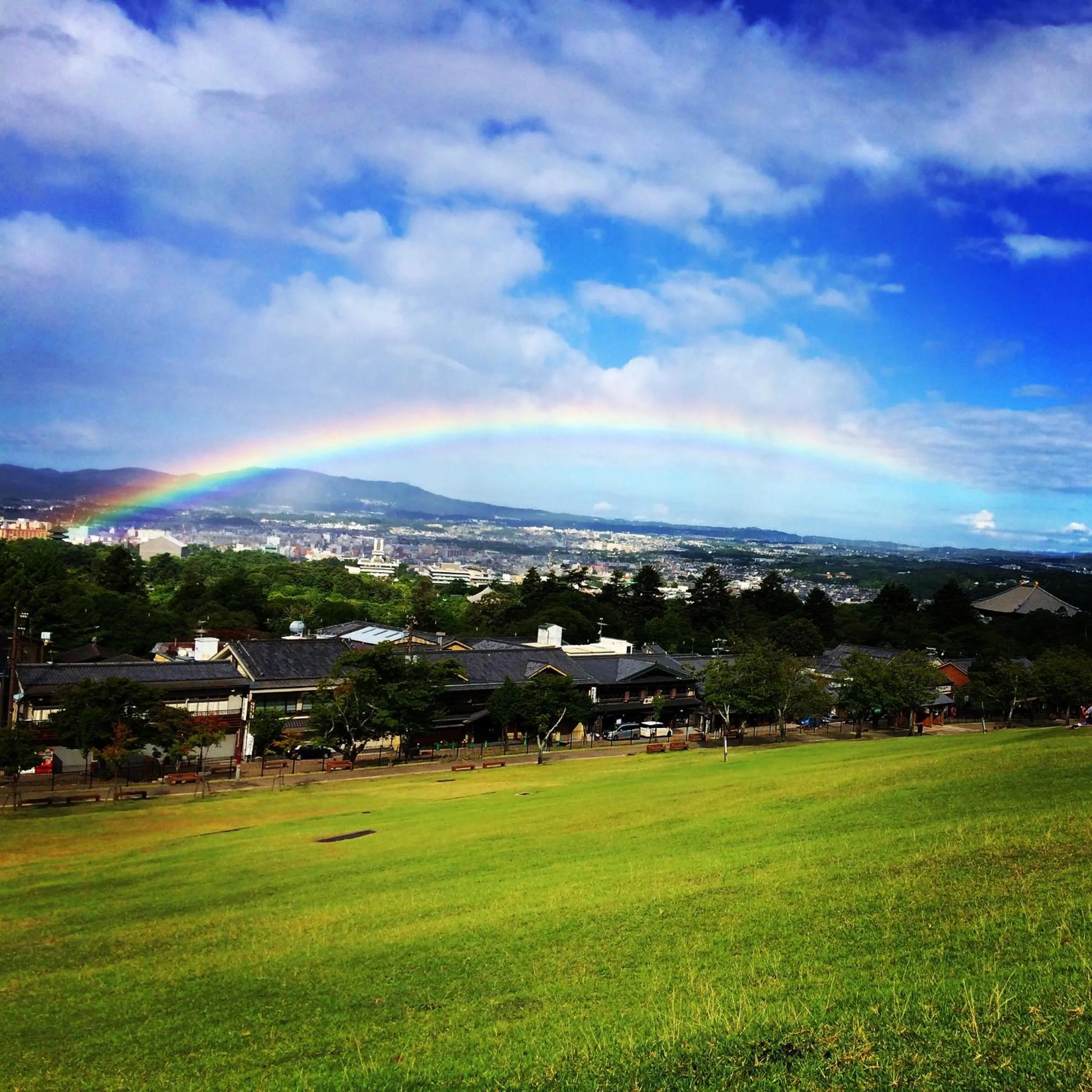 Nearby landmark in Kotonoyado Musashino