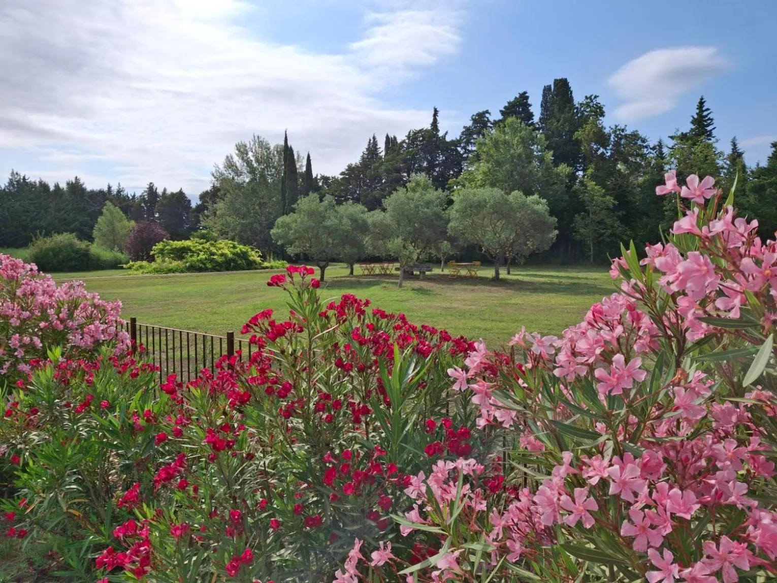 Day in La Bastide des Amouriers