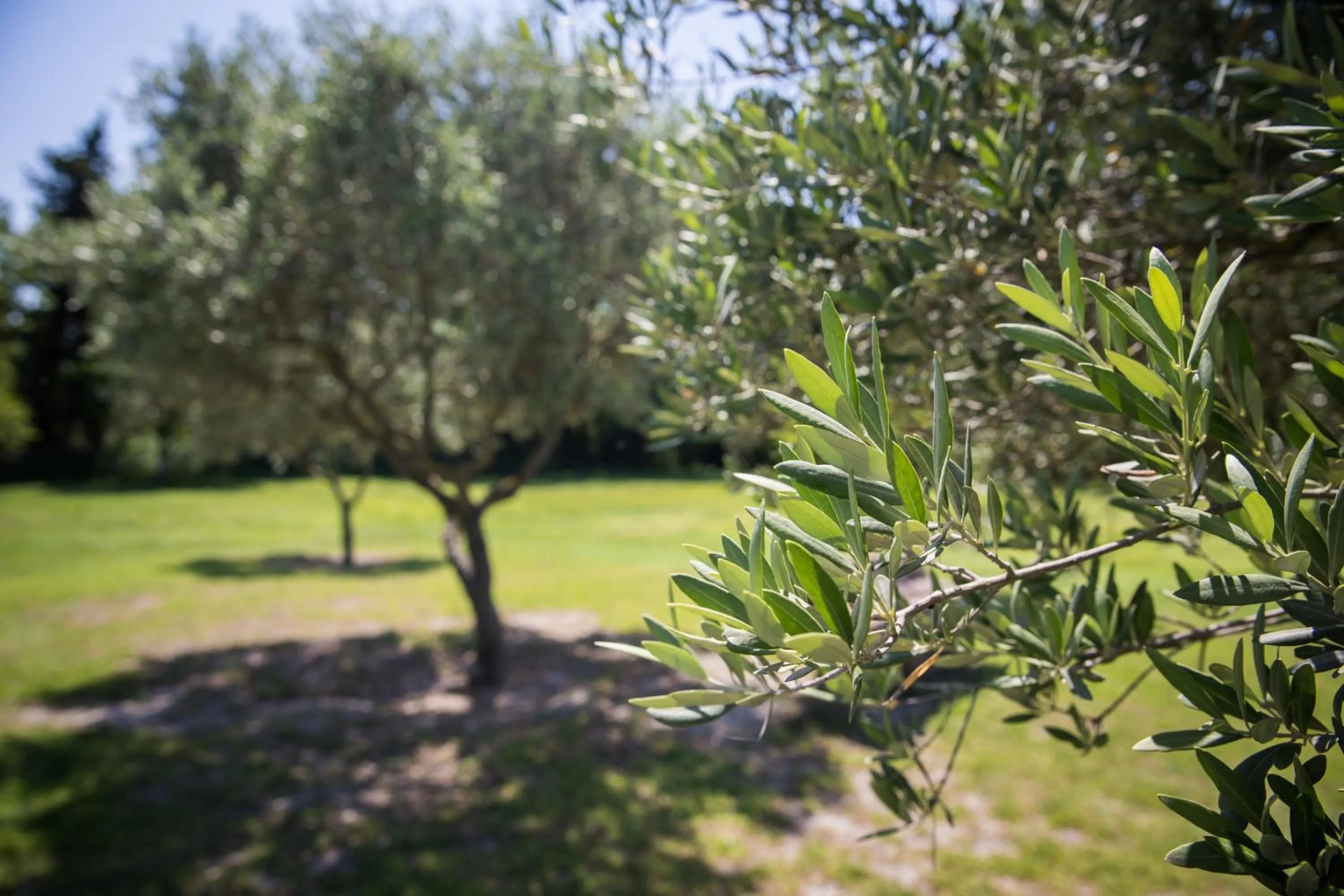 Natural landscape in La Bastide des Amouriers
