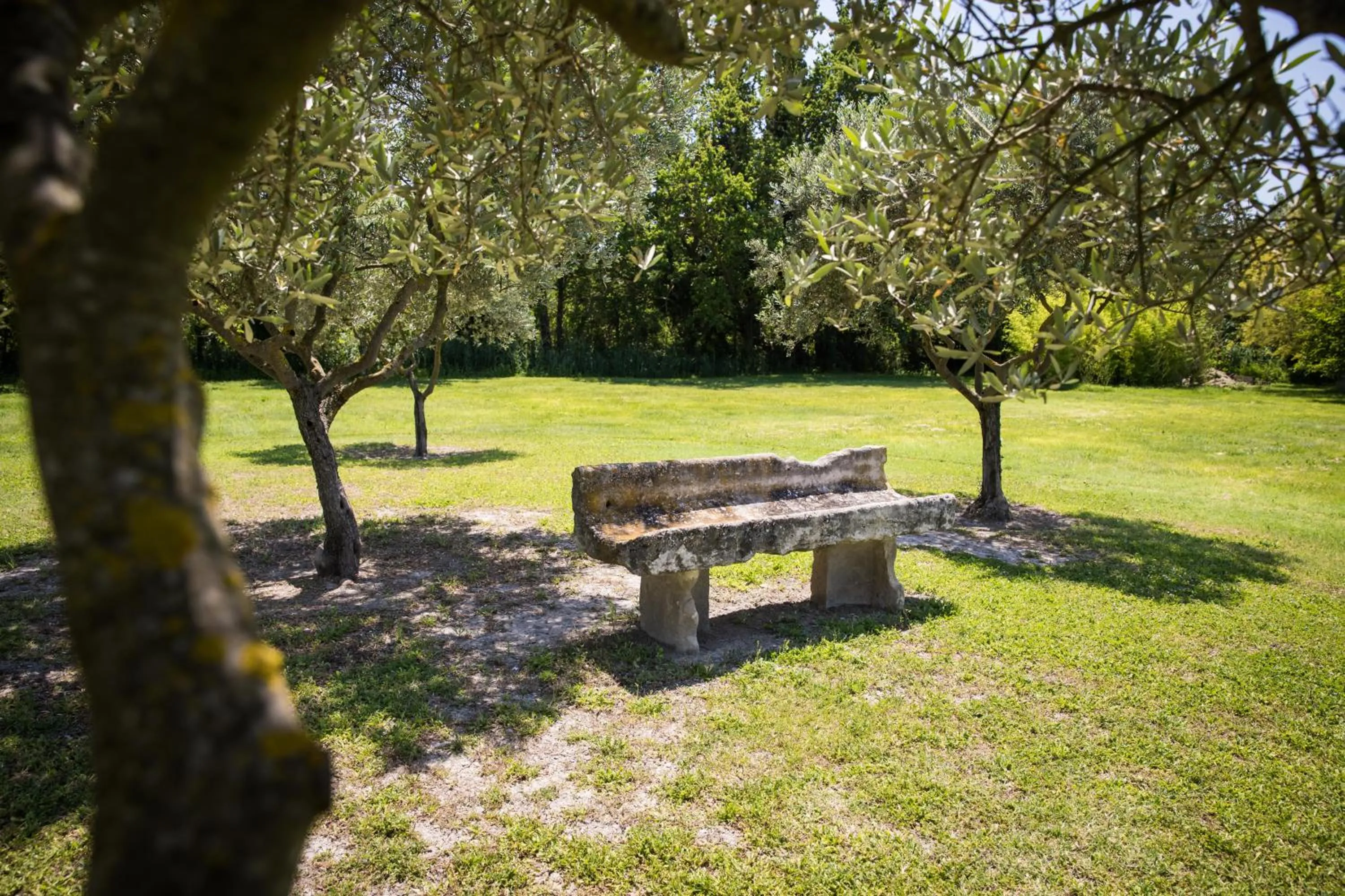 Garden in La Bastide des Amouriers