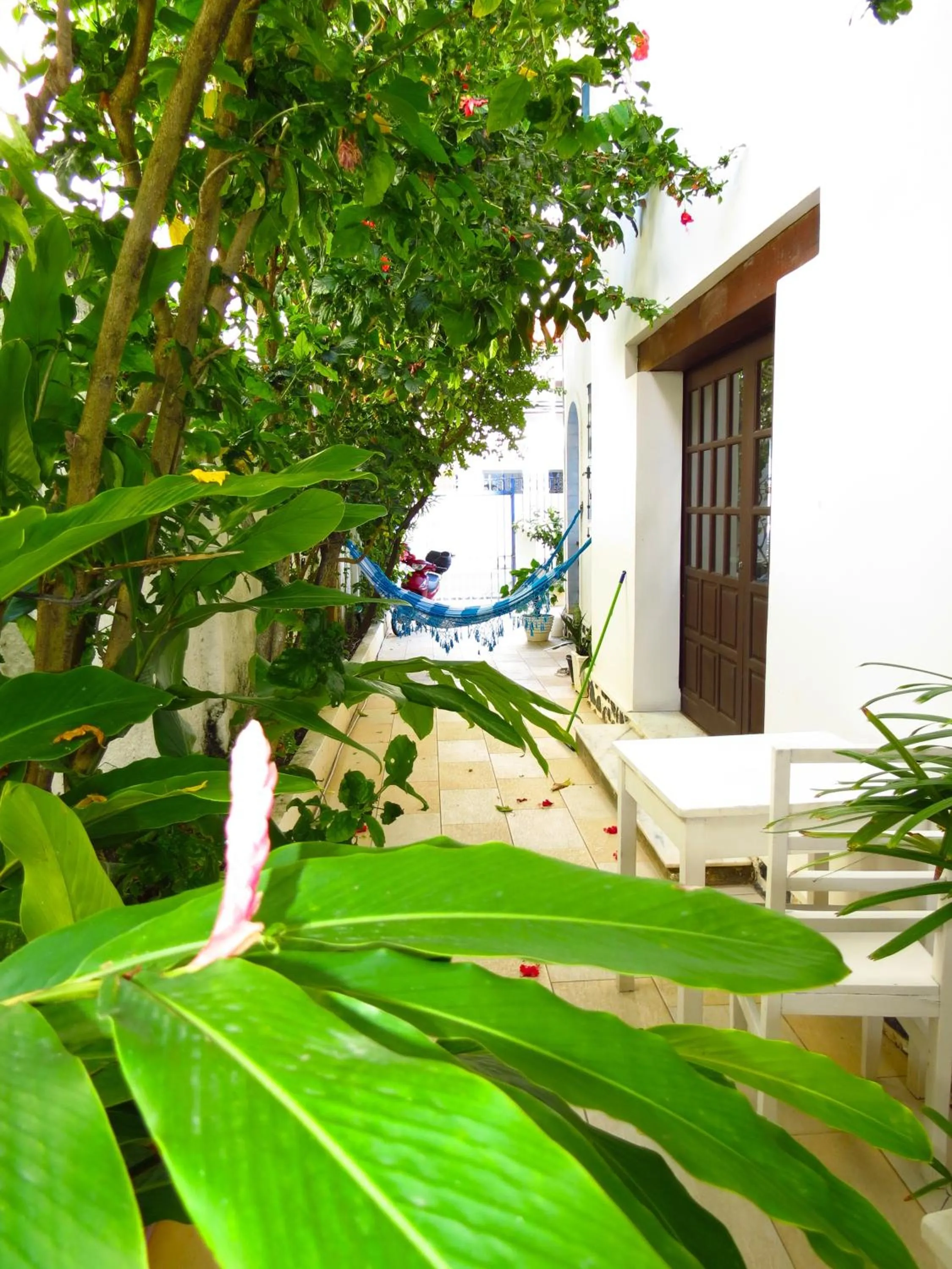 Facade/entrance in Pousada Estrela do Mar