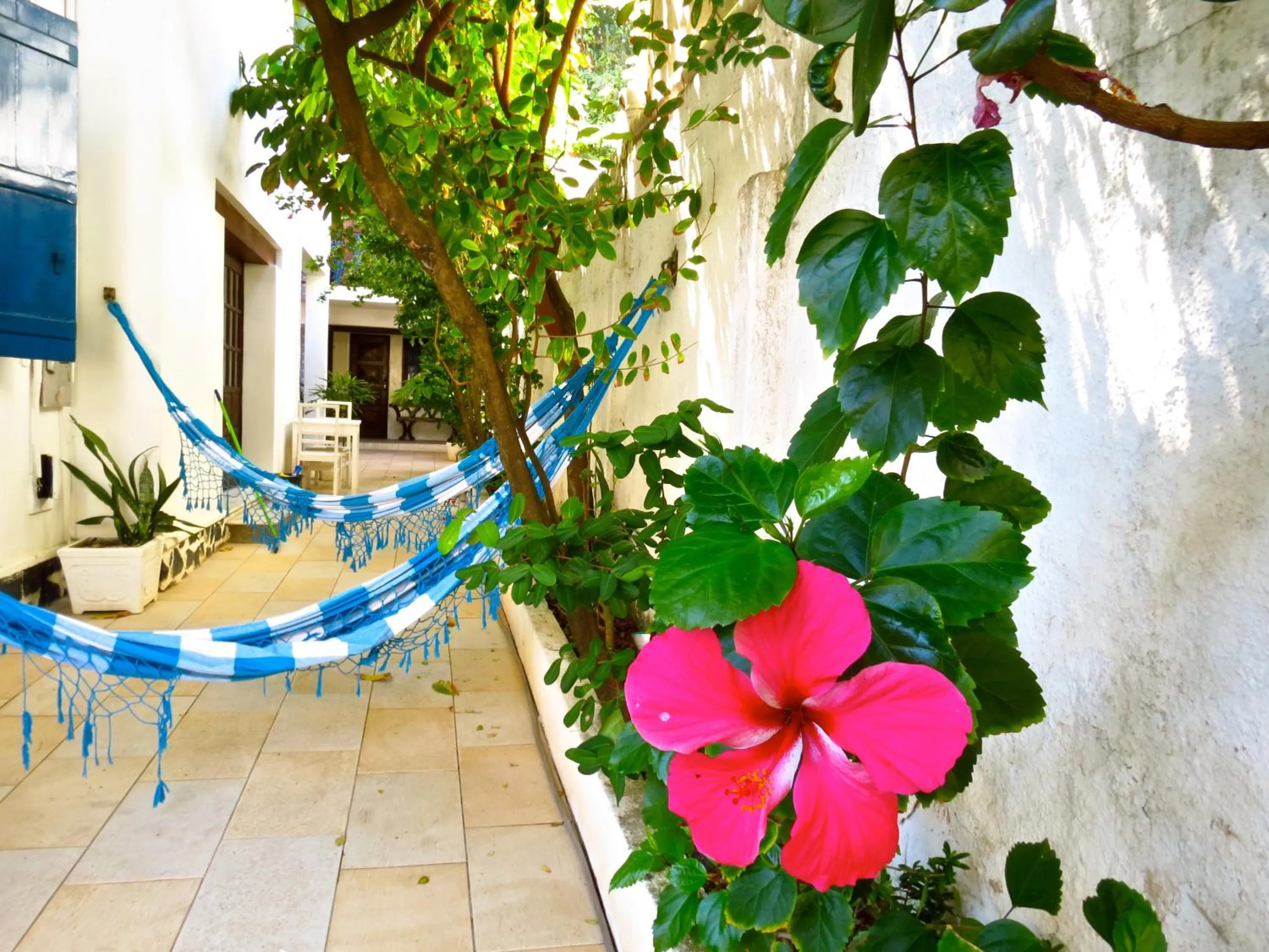 Facade/entrance in Pousada Estrela do Mar