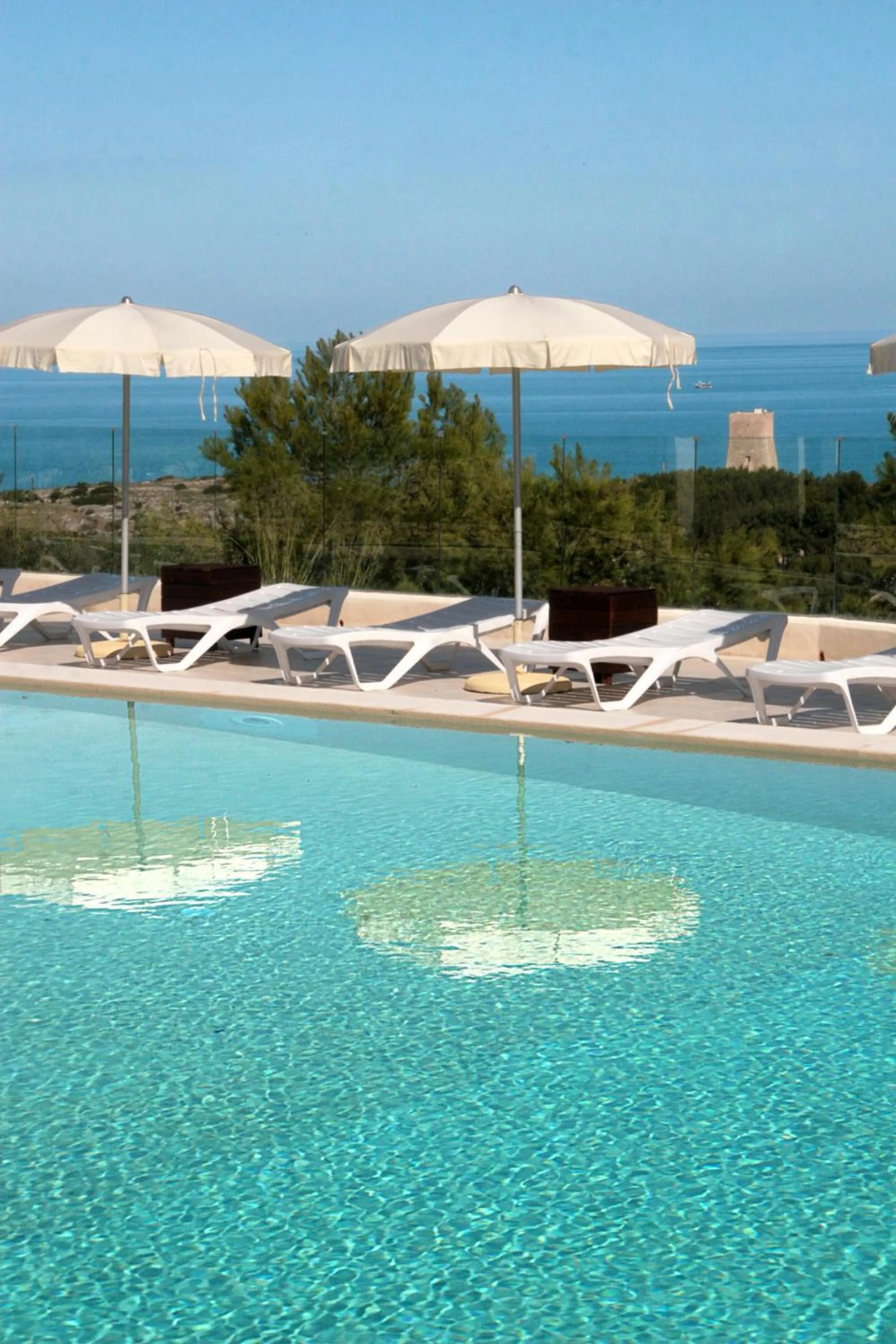 Swimming pool in Residence Gli Stingi