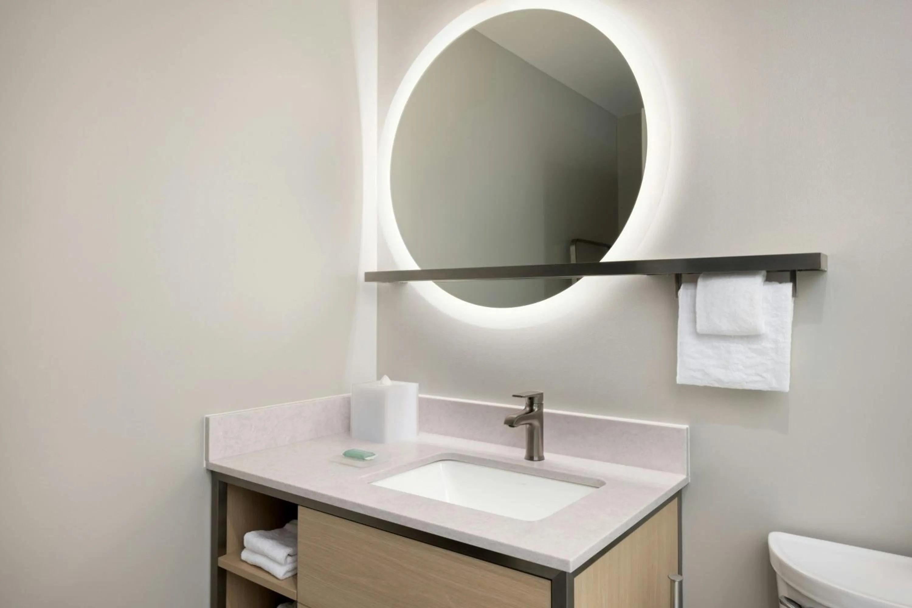 Bathroom in TownePlace Suites by Marriott Middleburg