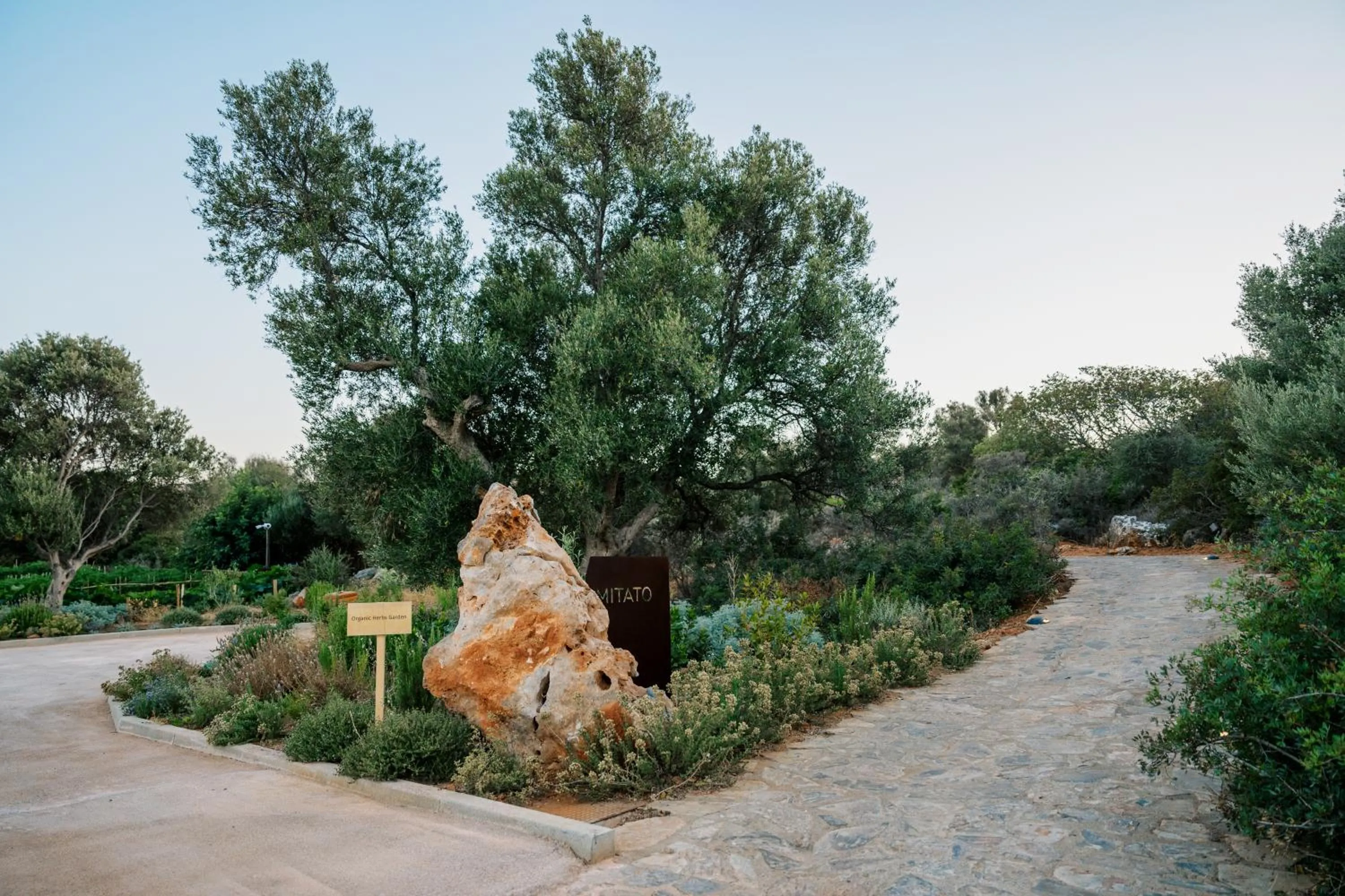 Natural landscape in Village Heights Resort