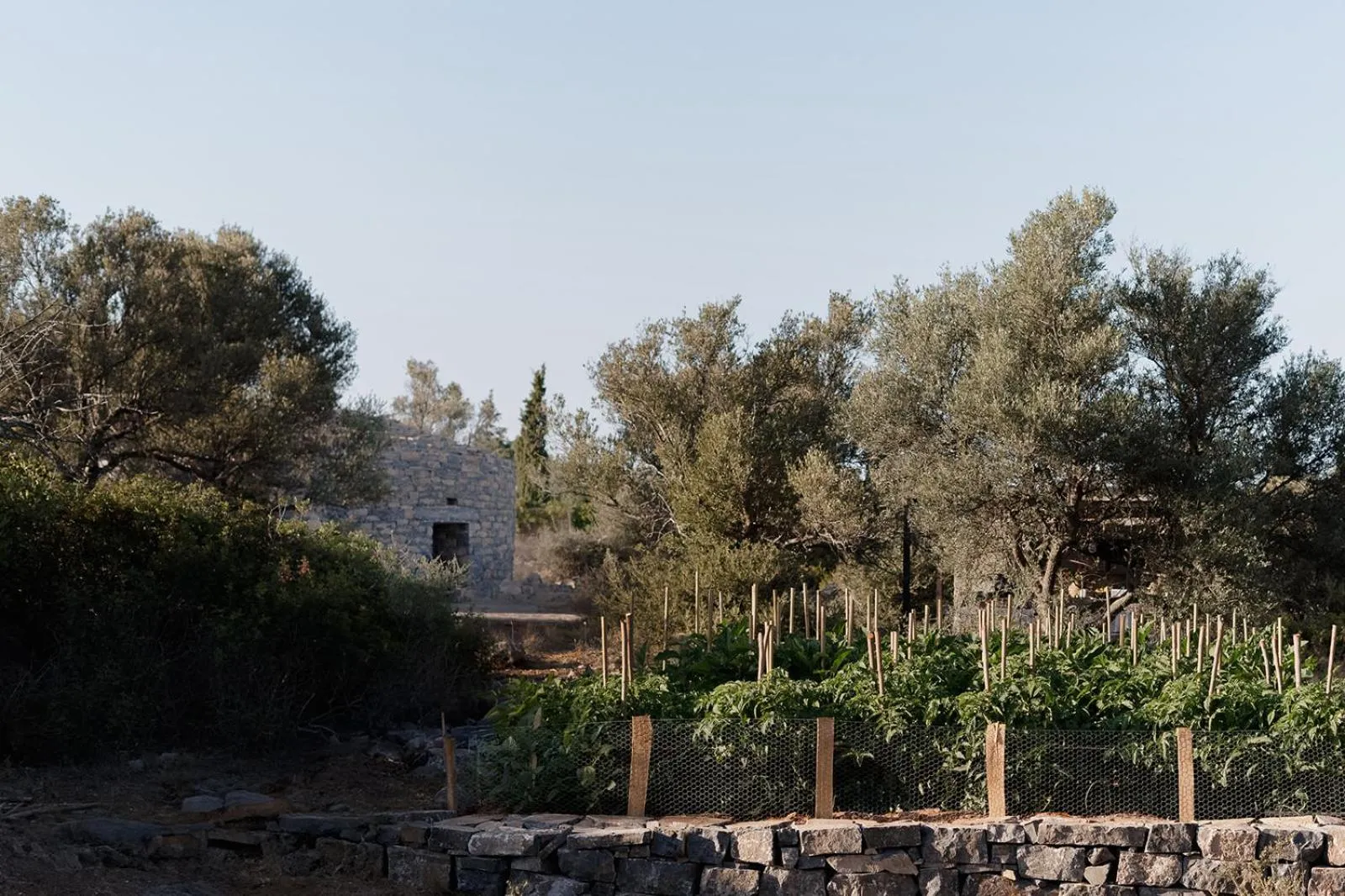 Garden in Village Heights Resort