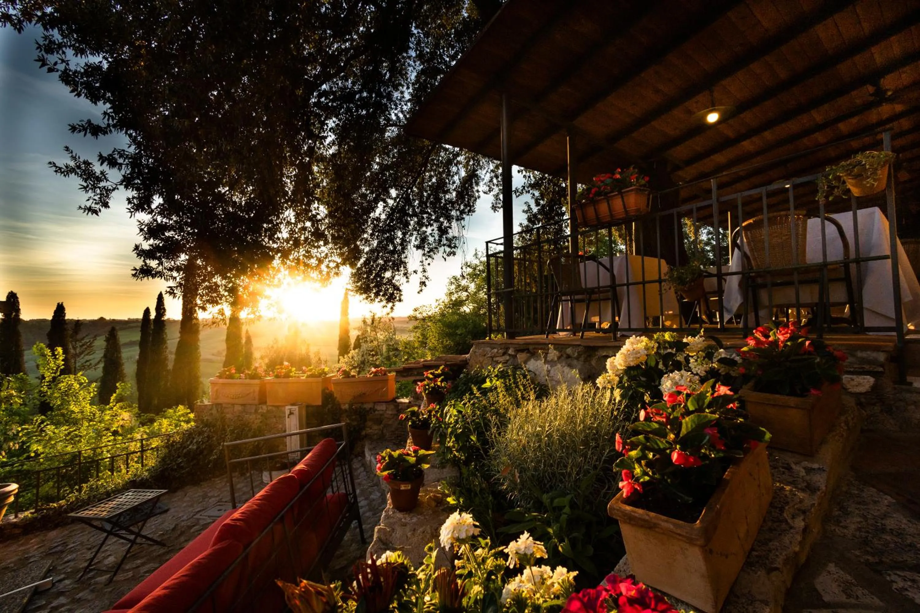 Restaurant/places to eat in Borgo Laticastelli