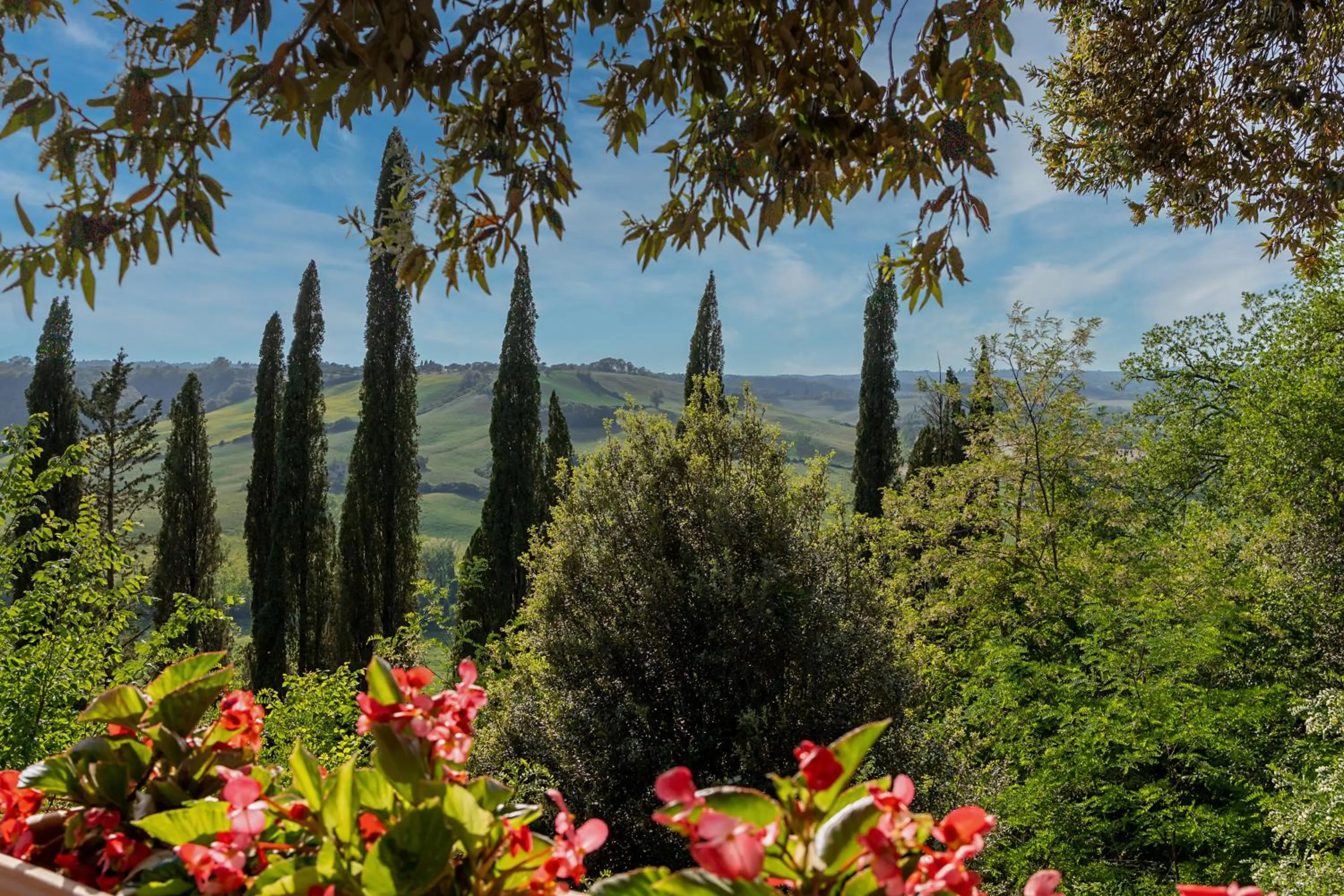 Restaurant/places to eat in Borgo Laticastelli