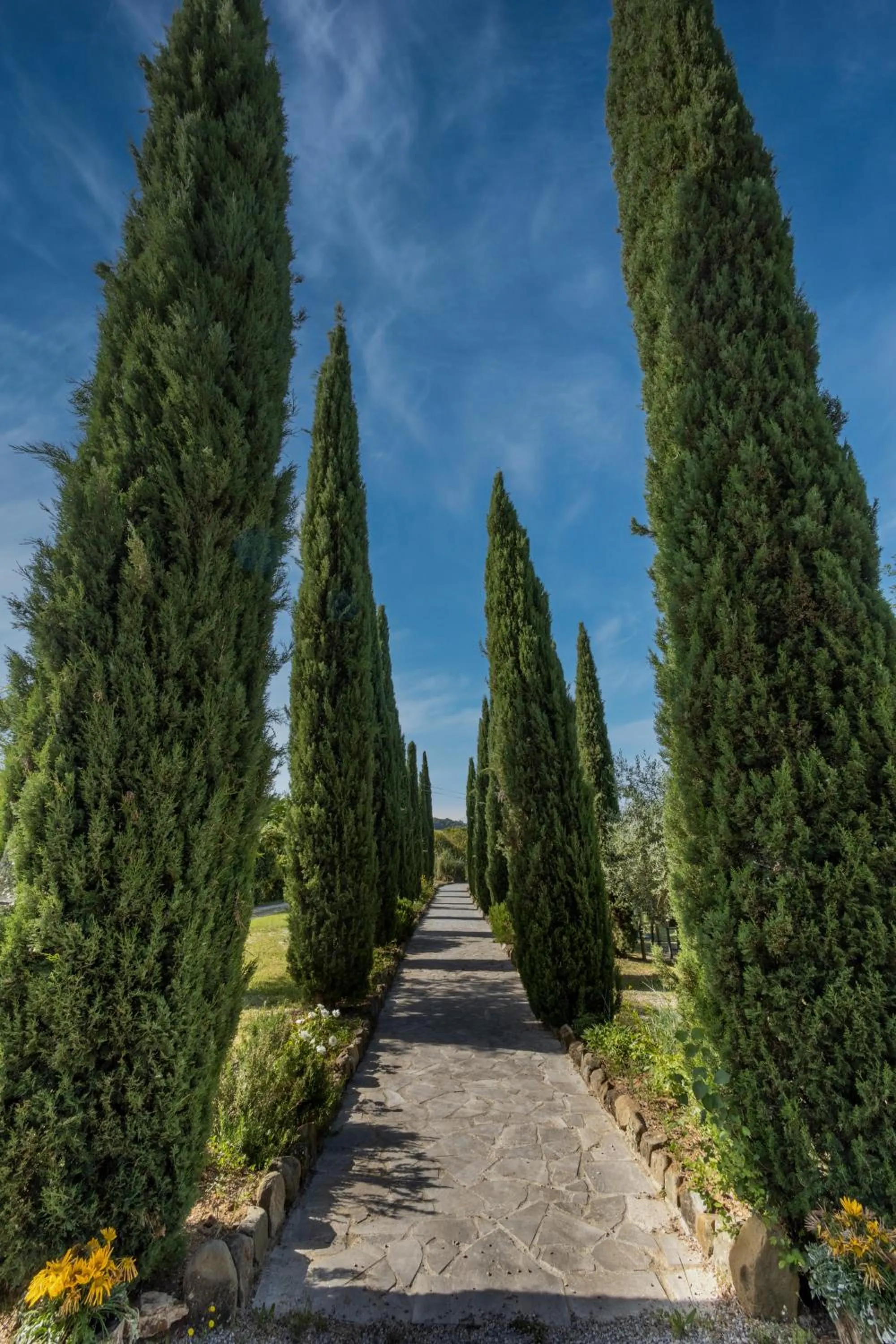 Natural landscape in Borgo Laticastelli