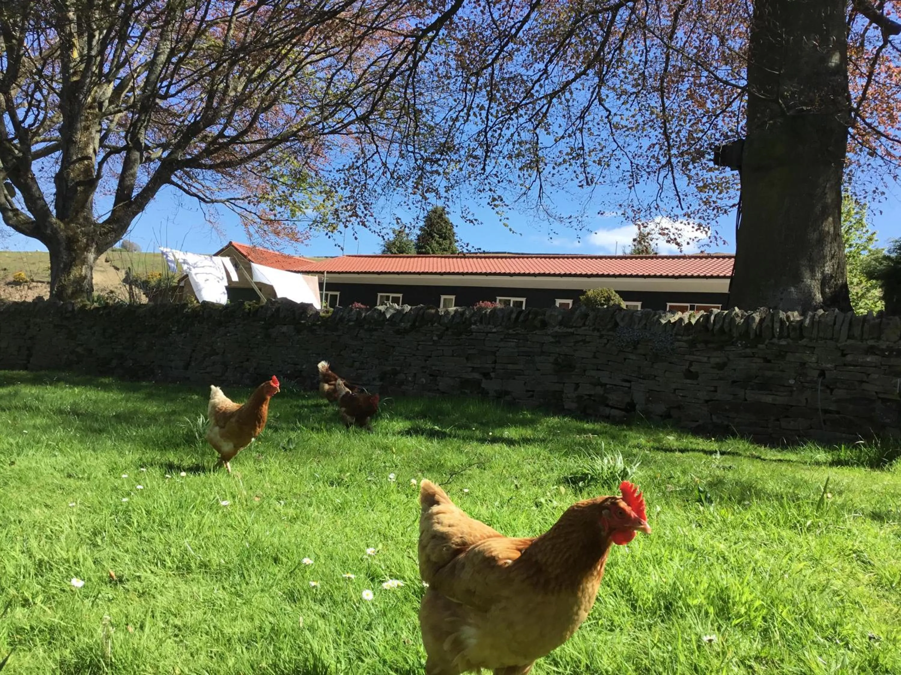 Property building in The Burnside