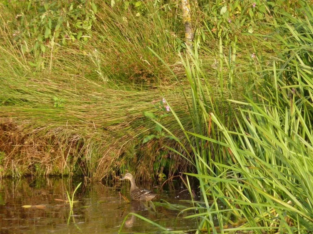 View (from property/room) in The Burnside