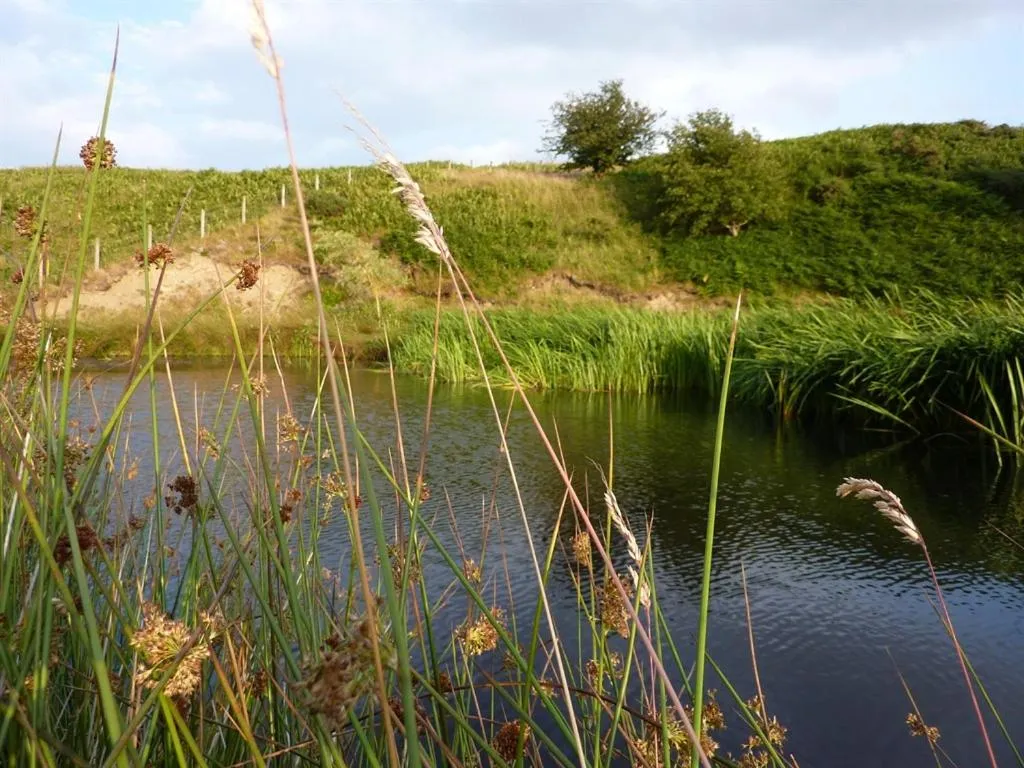 View (from property/room) in The Burnside