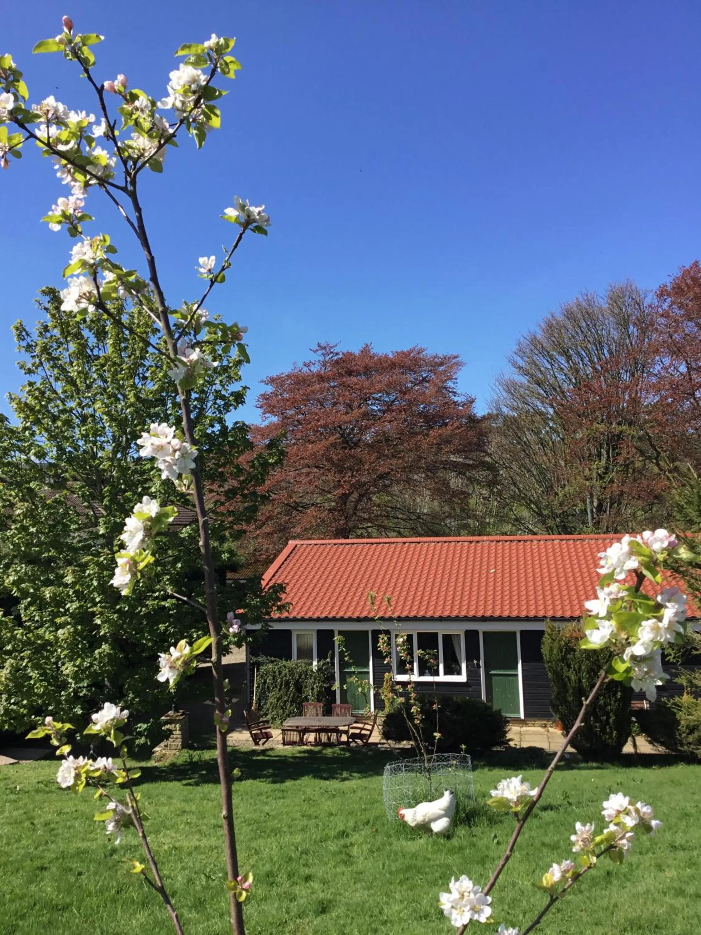 View (from property/room) in The Burnside