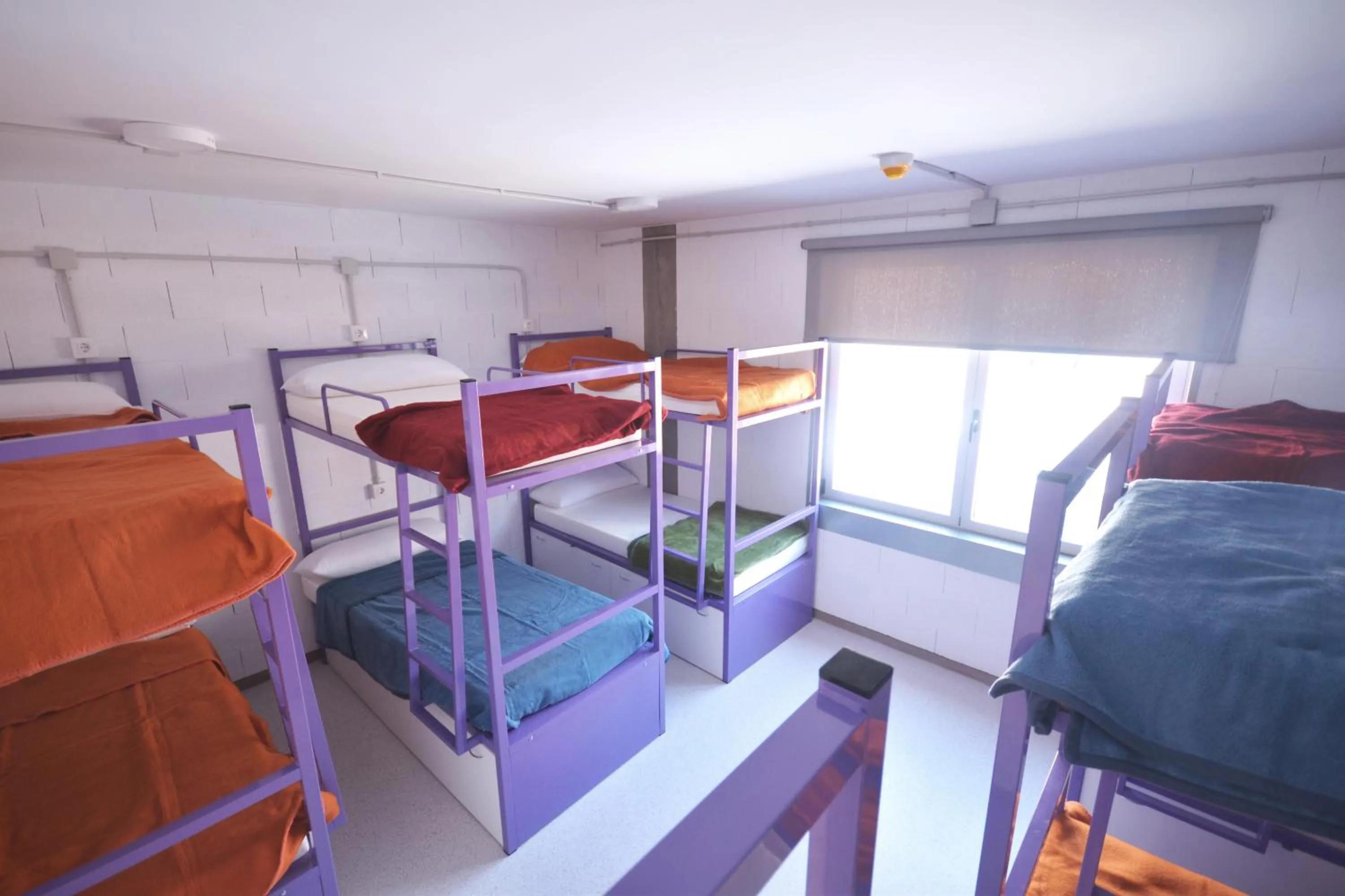 bunk bed, Bed in Scout Madrid Hostel