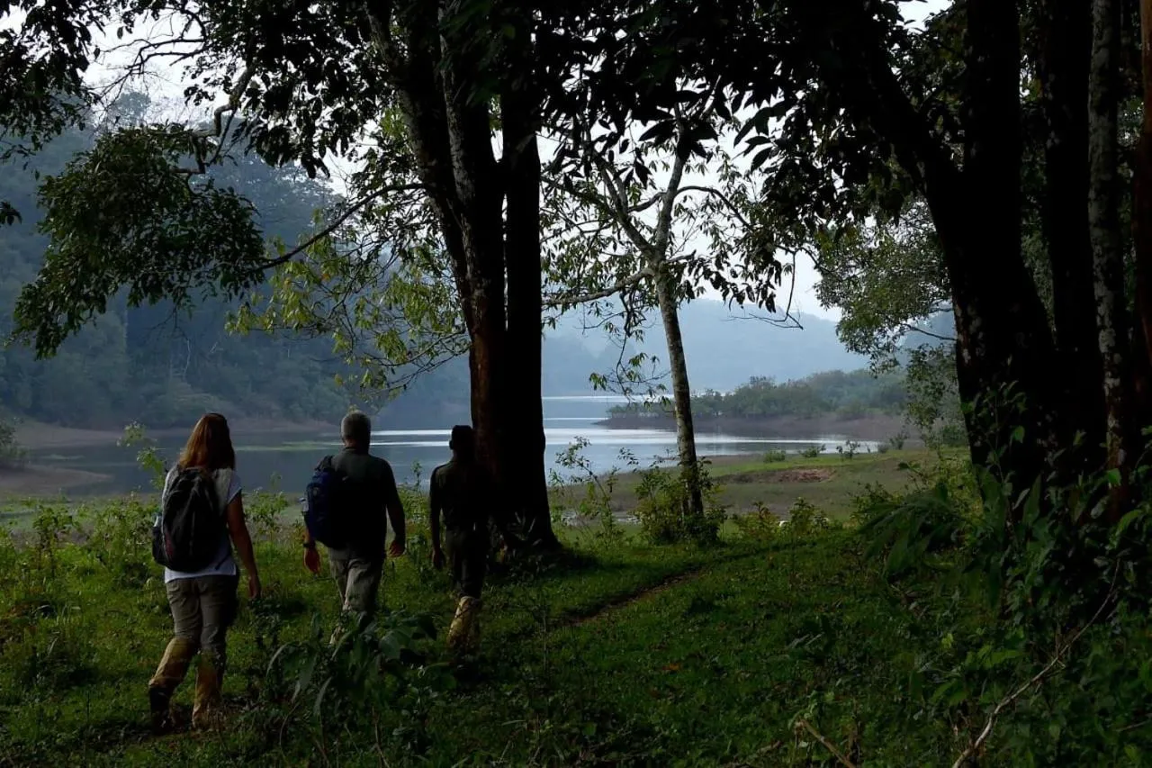 Natural landscape in Quadriya Palace