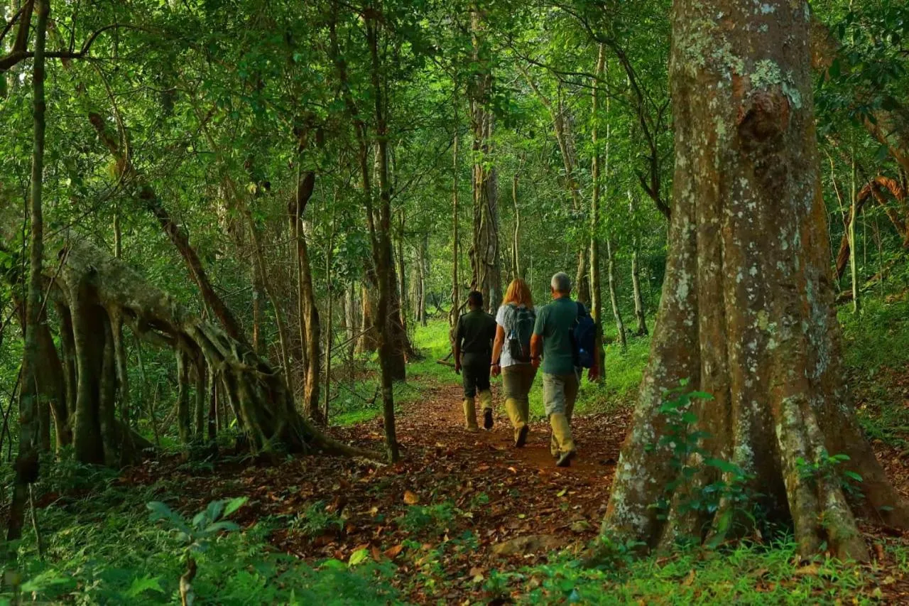 Natural landscape in Quadriya Palace