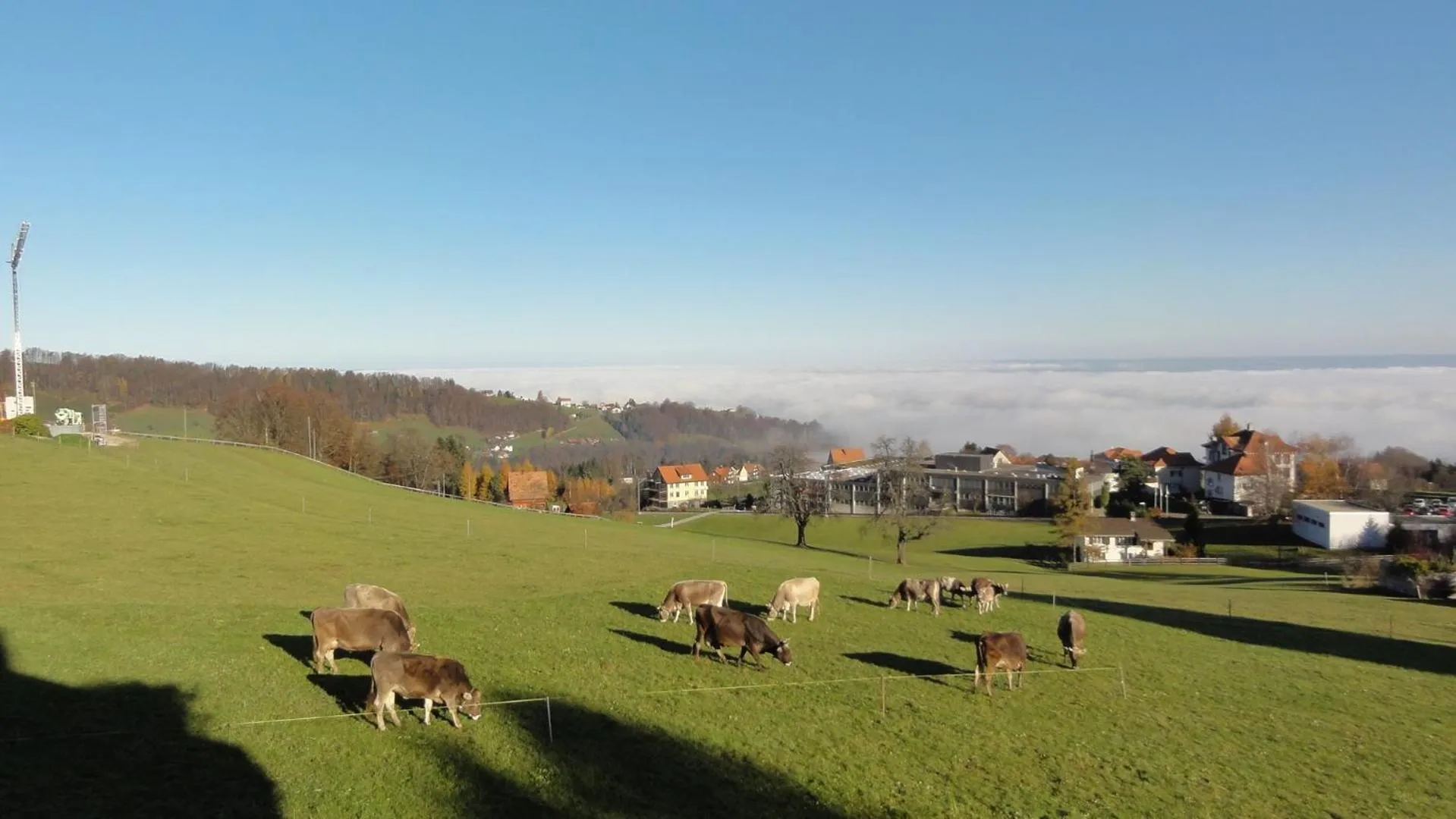 Neighbourhood in Park