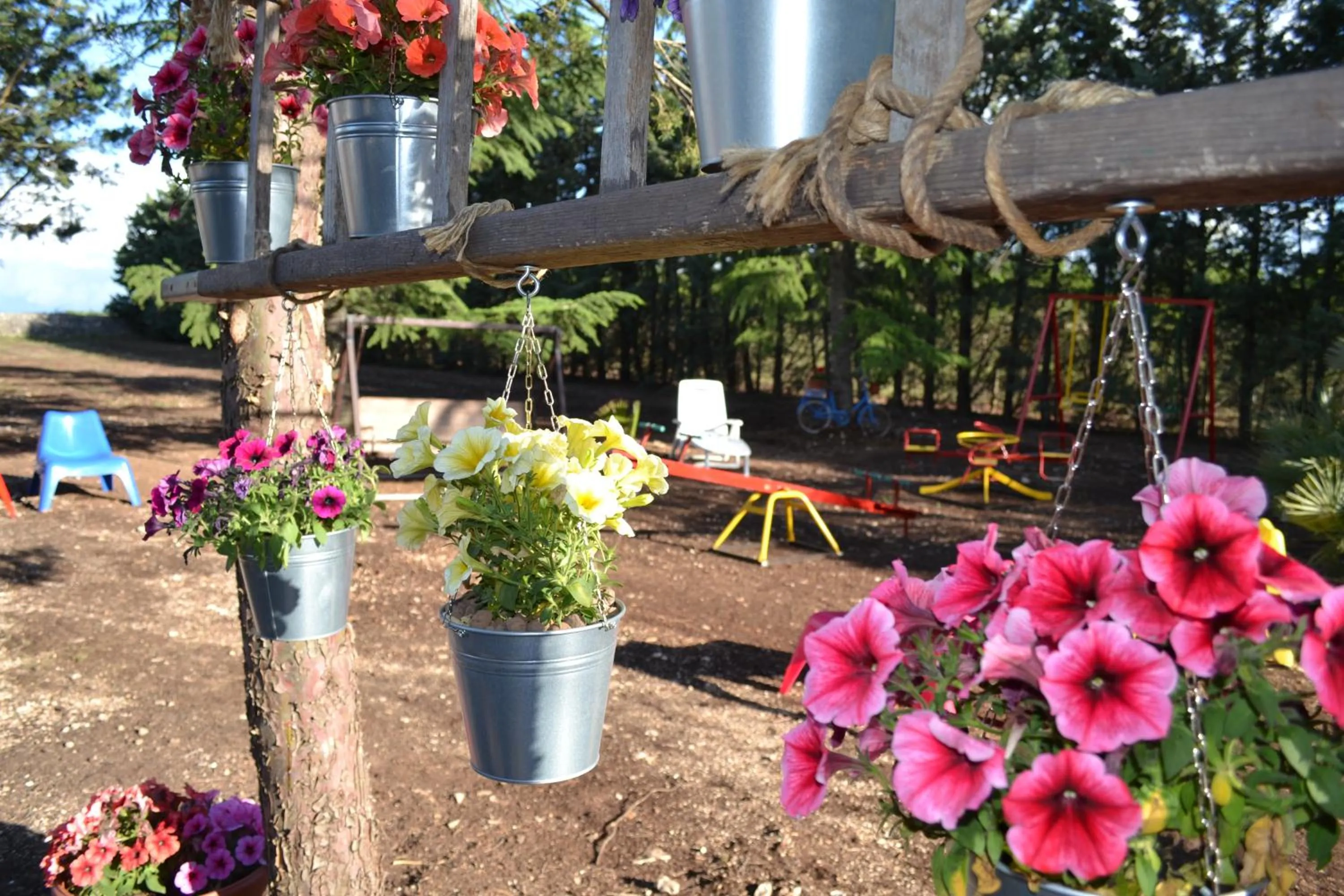 Garden in B&B Le Stagioni