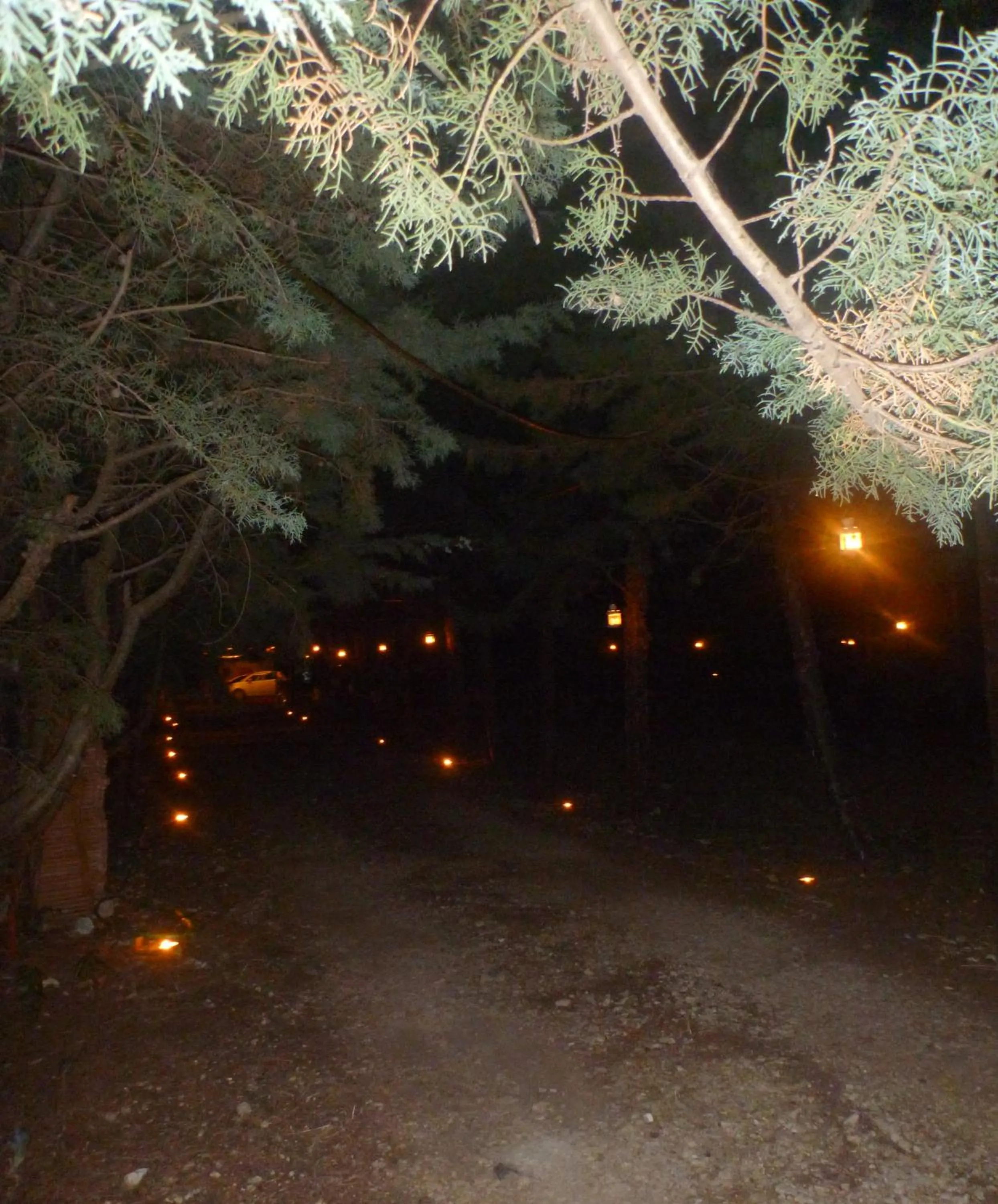 Night in B&B Le Stagioni