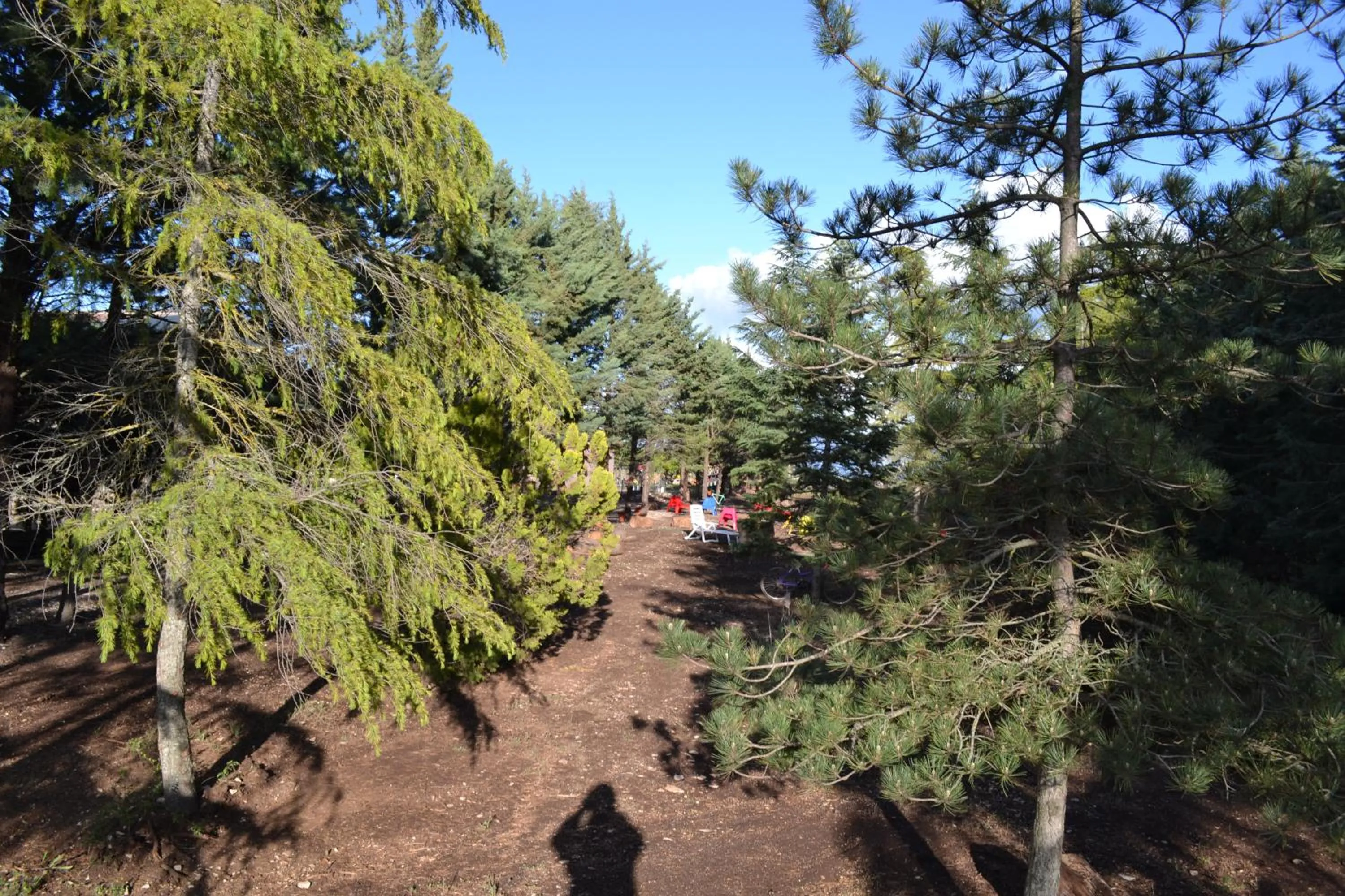 Garden in B&B Le Stagioni