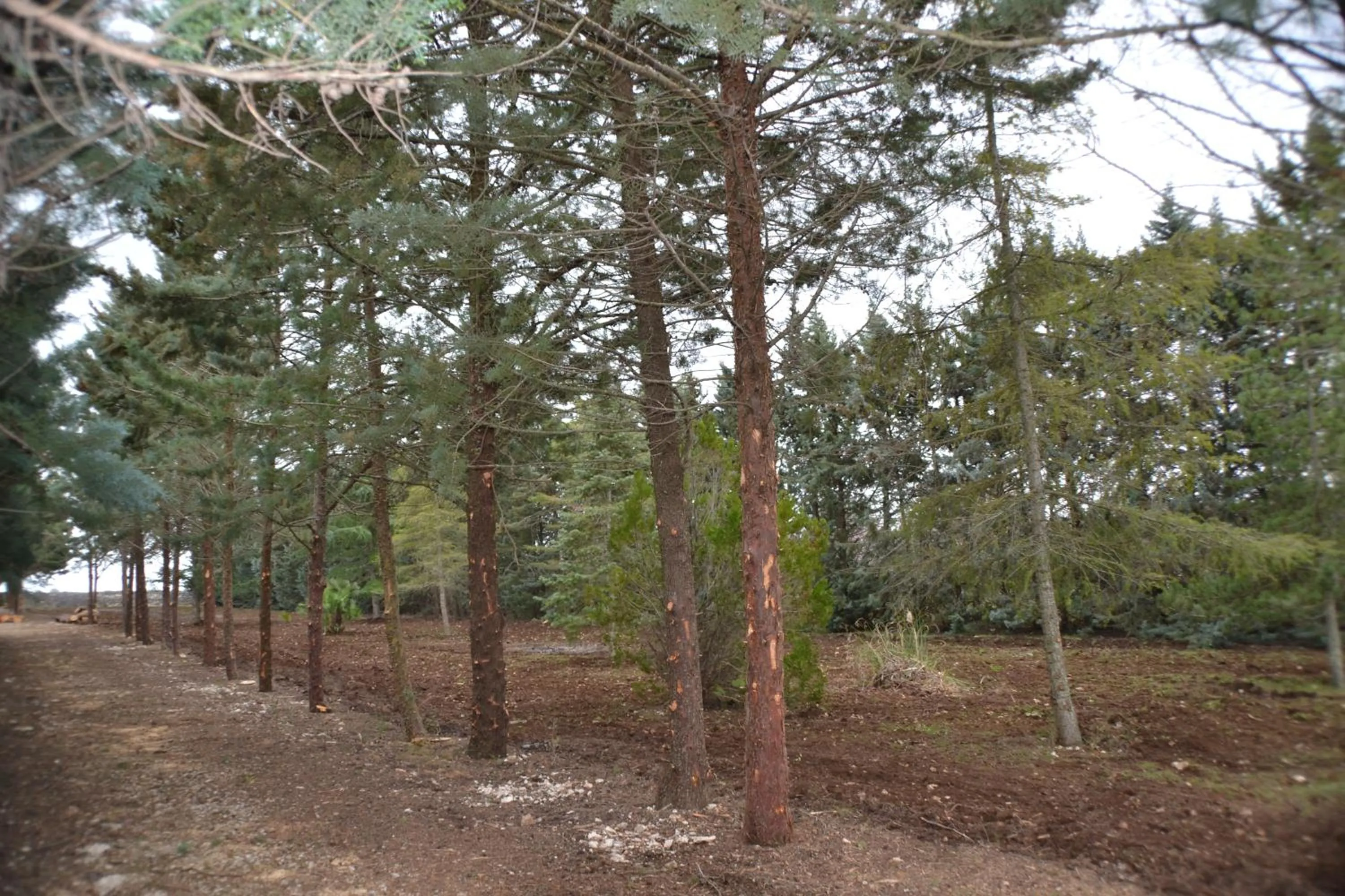 Facade/entrance in B&B Le Stagioni