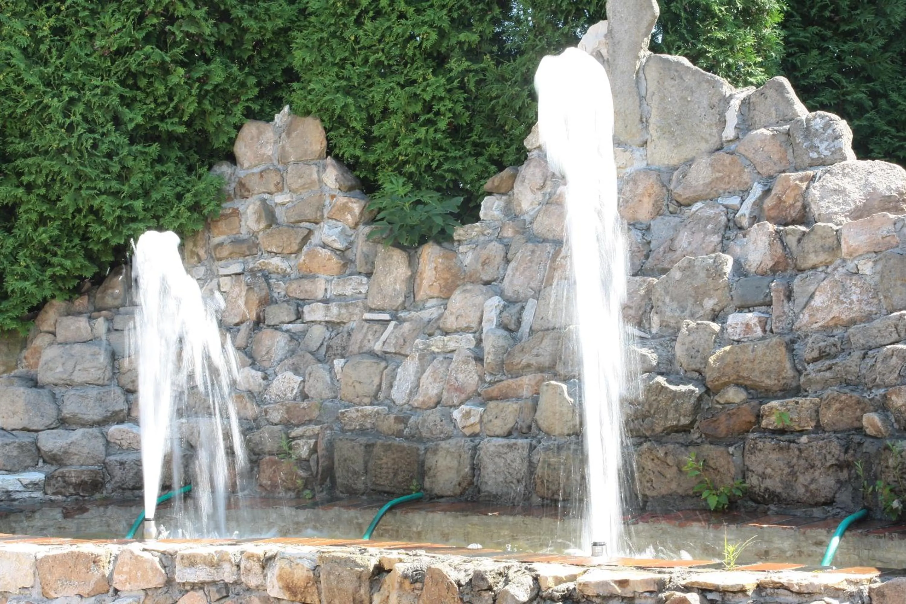 Garden in Hotel Restauracja Pustelnik
