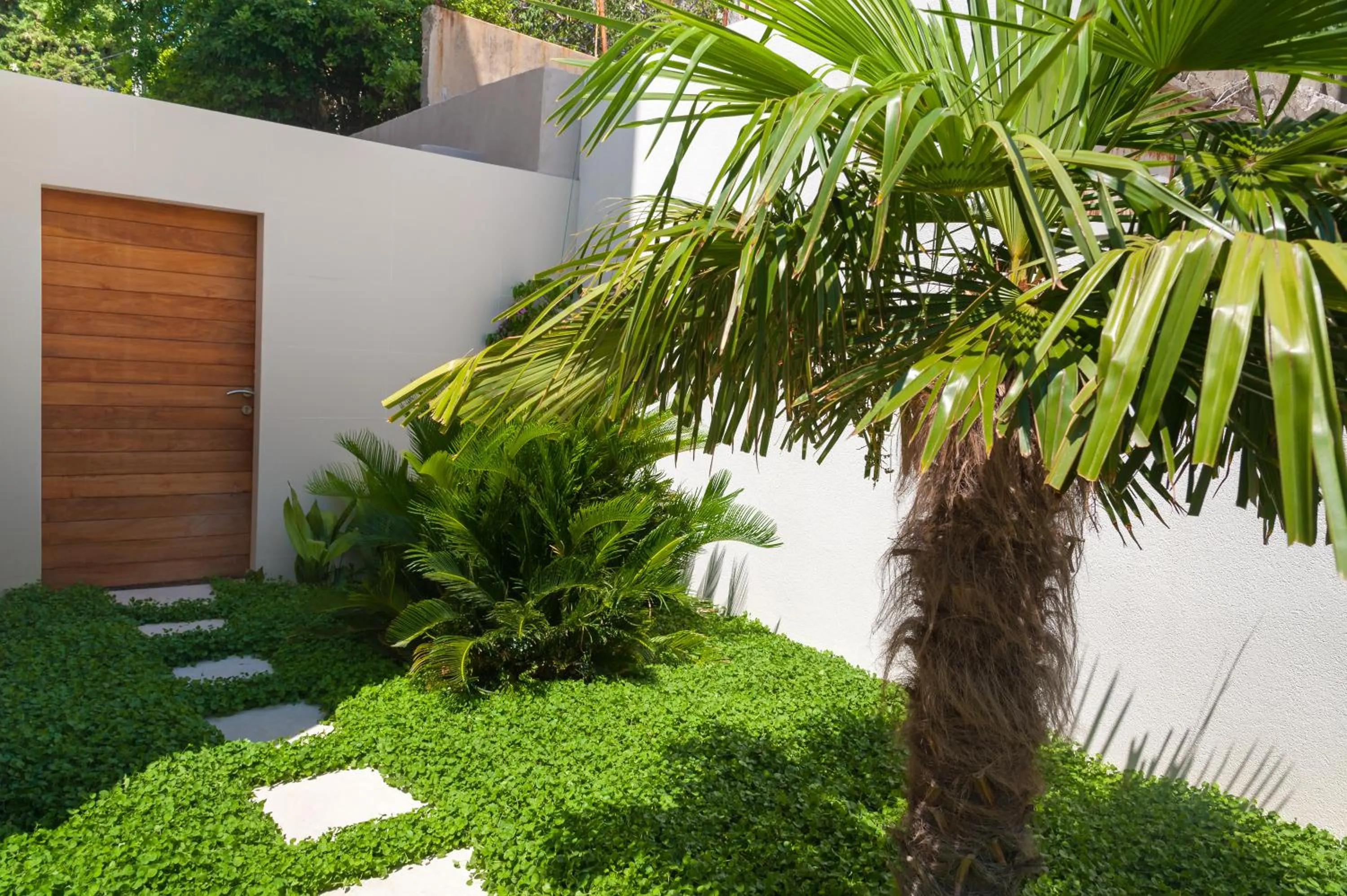 Property building in Alba Residence