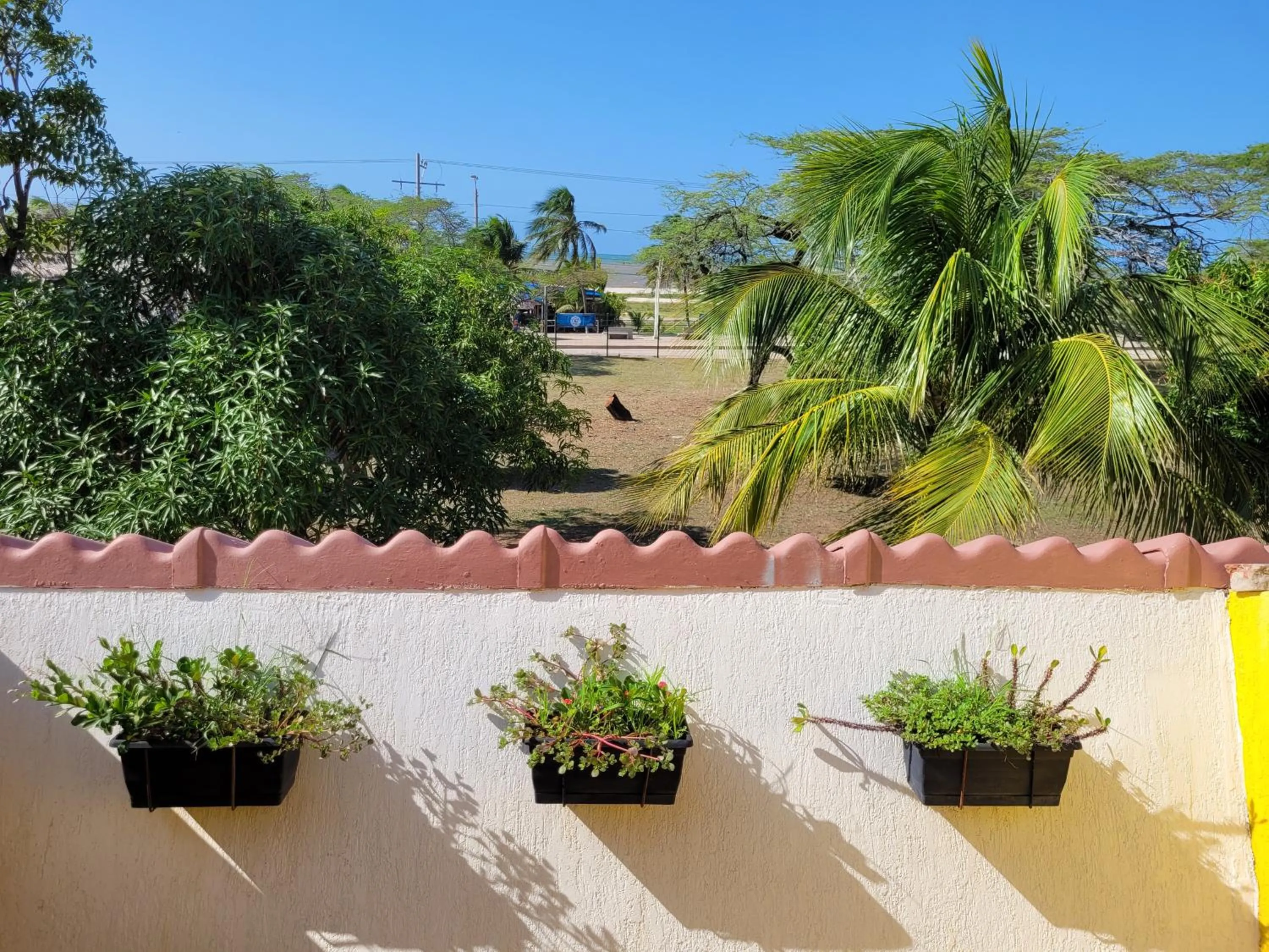 Balcony/Terrace in Hotel Gimaura
