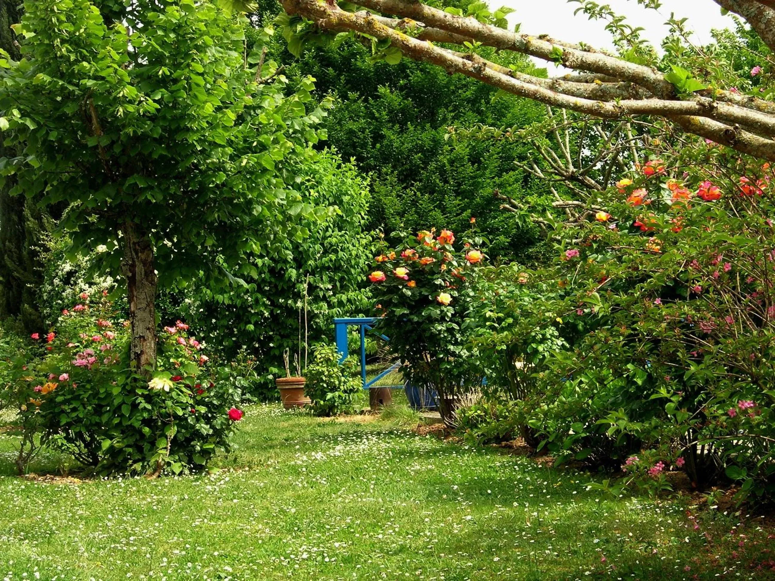 Garden in Le Colombier
