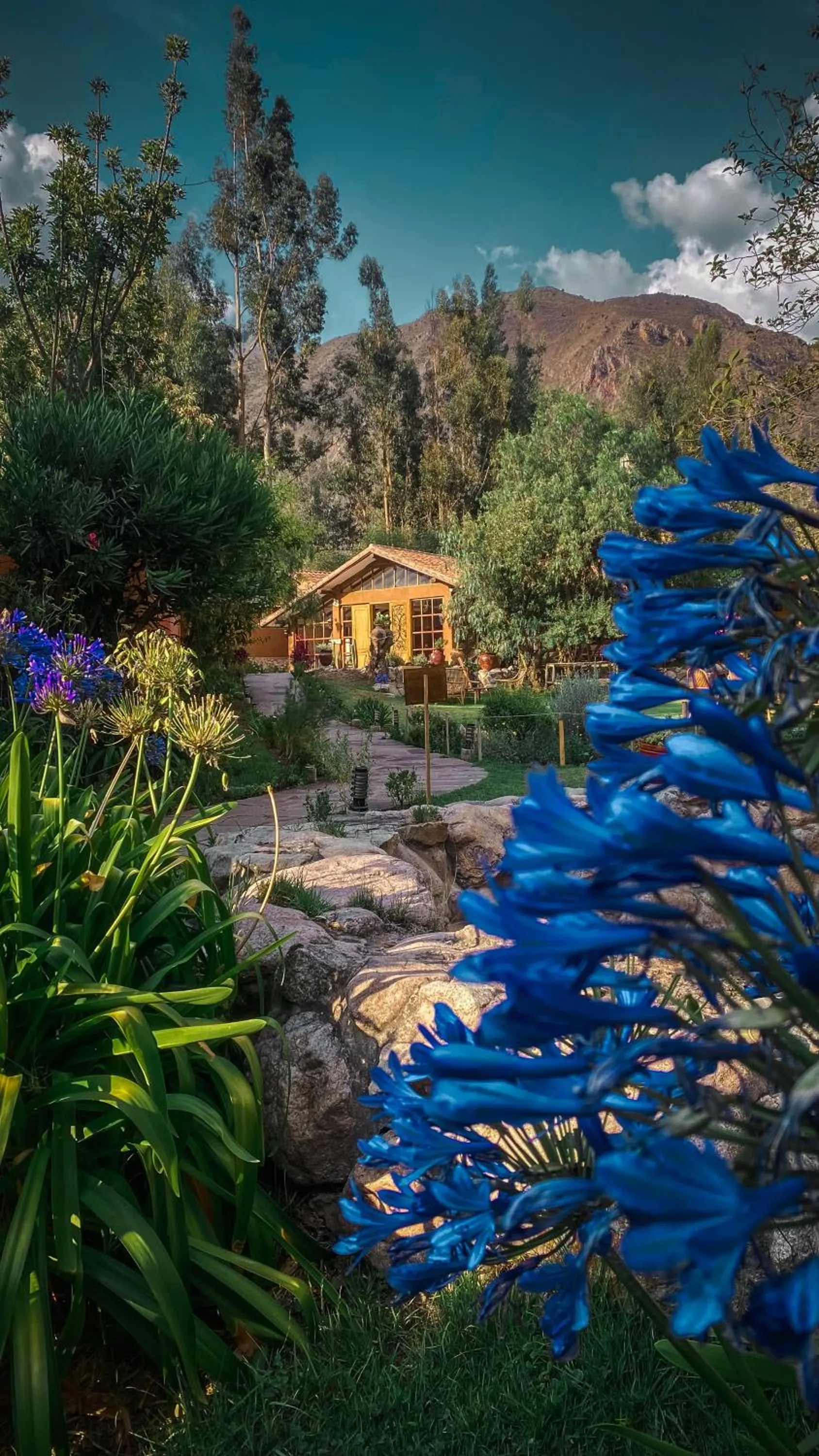 Garden in Andean Wings Valley