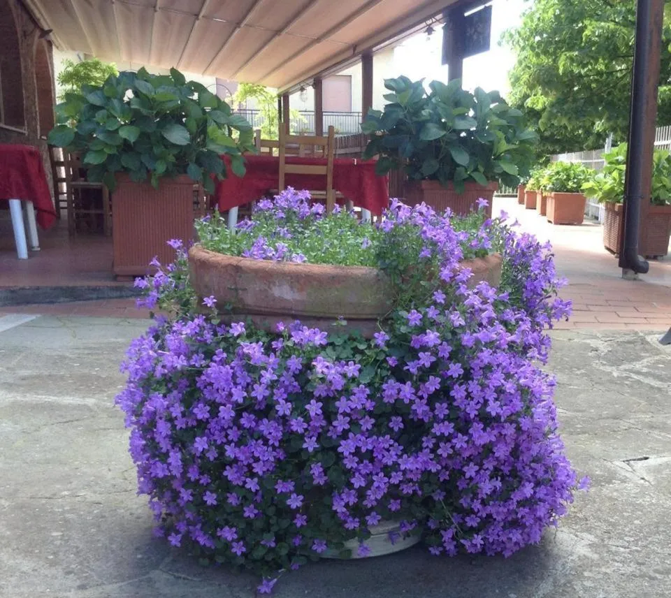 Patio in Albergo Di Murlo