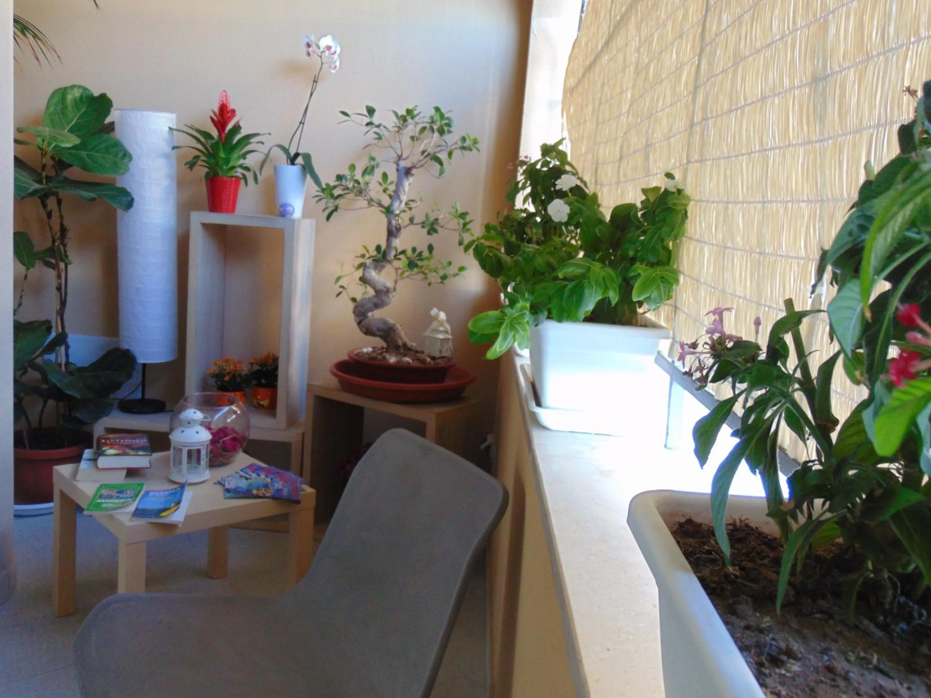 Garden in Residence Le Isole