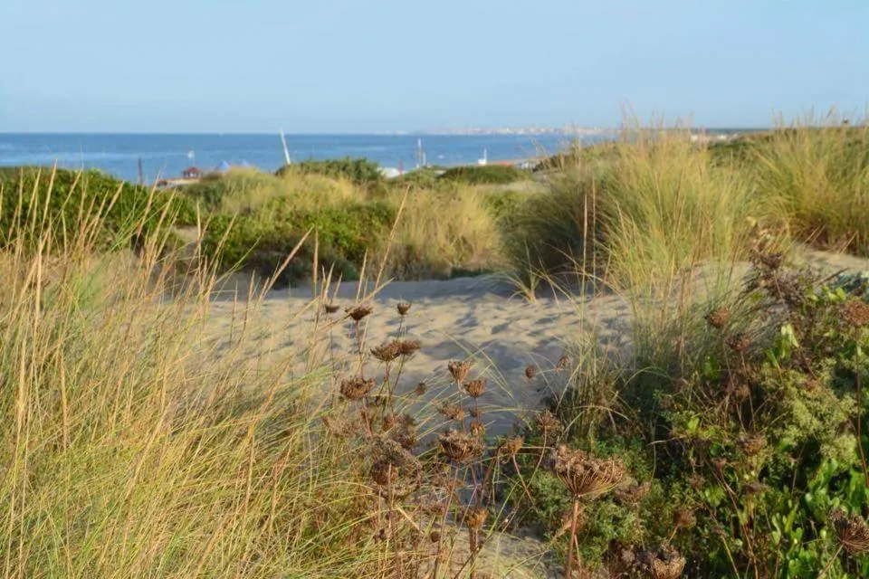 Natural landscape in Il Mare Di Roma