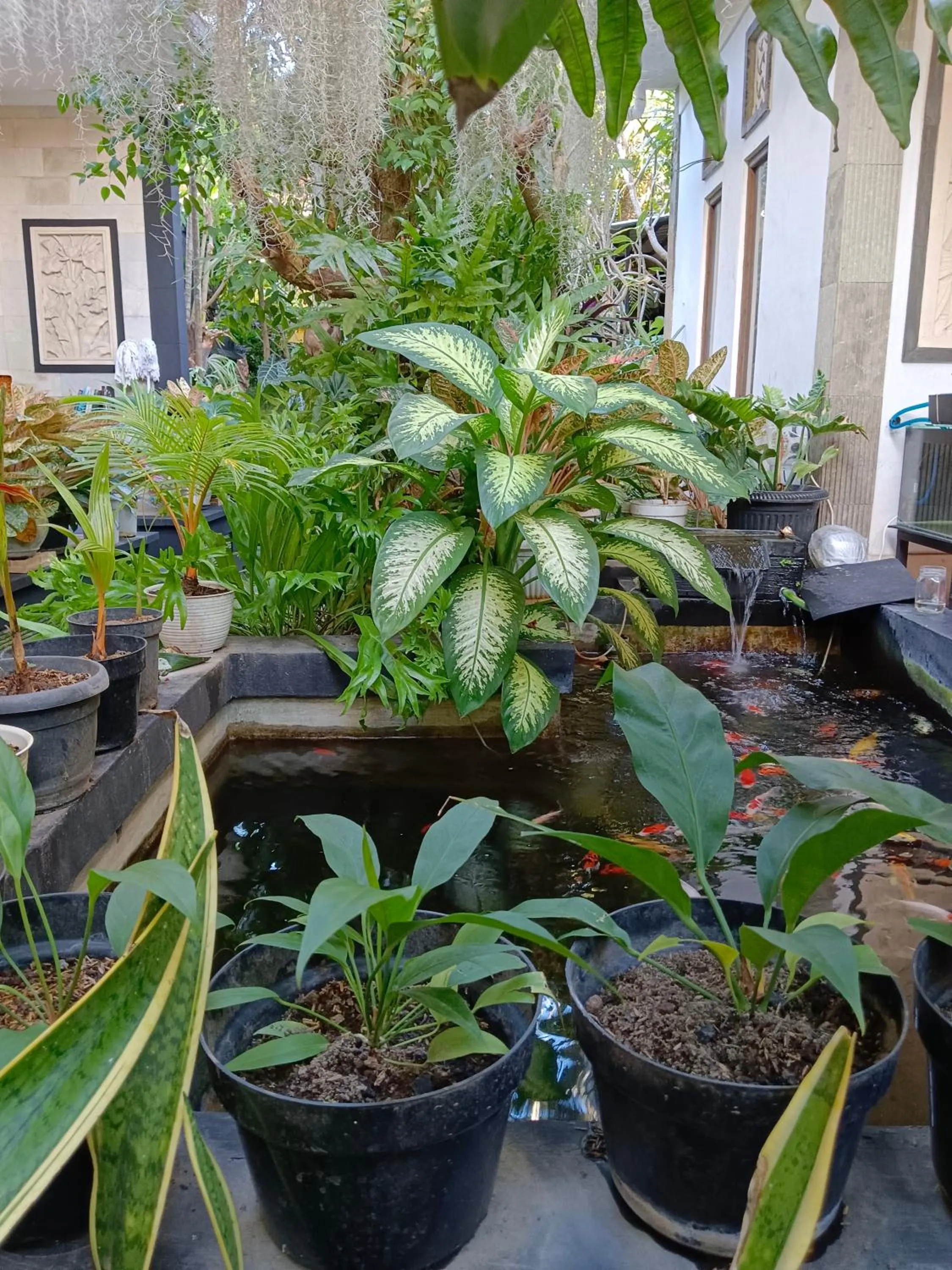 Property building in Double N Guesthouse Sanur Bali