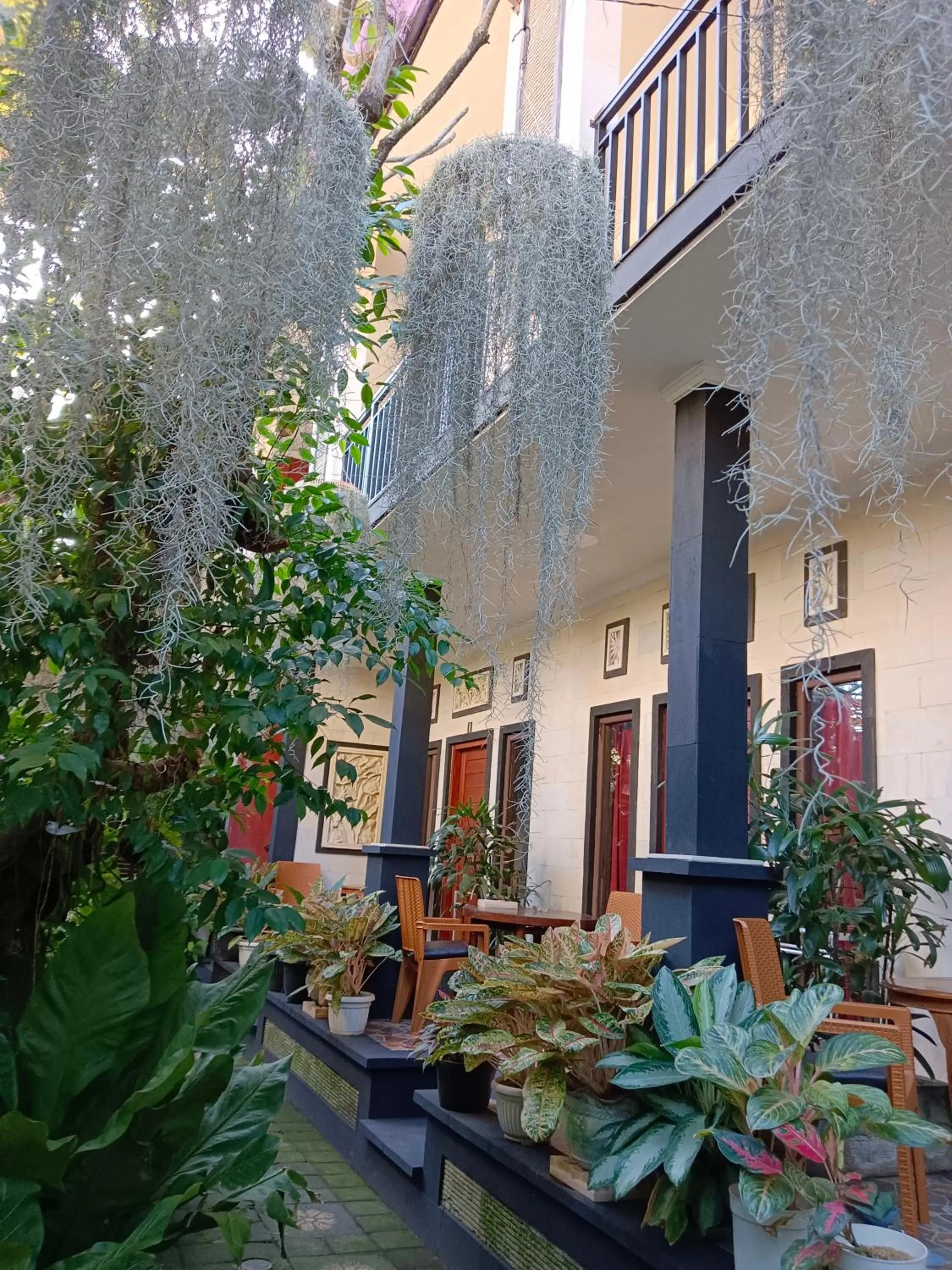 Garden in Double N Guesthouse Sanur Bali