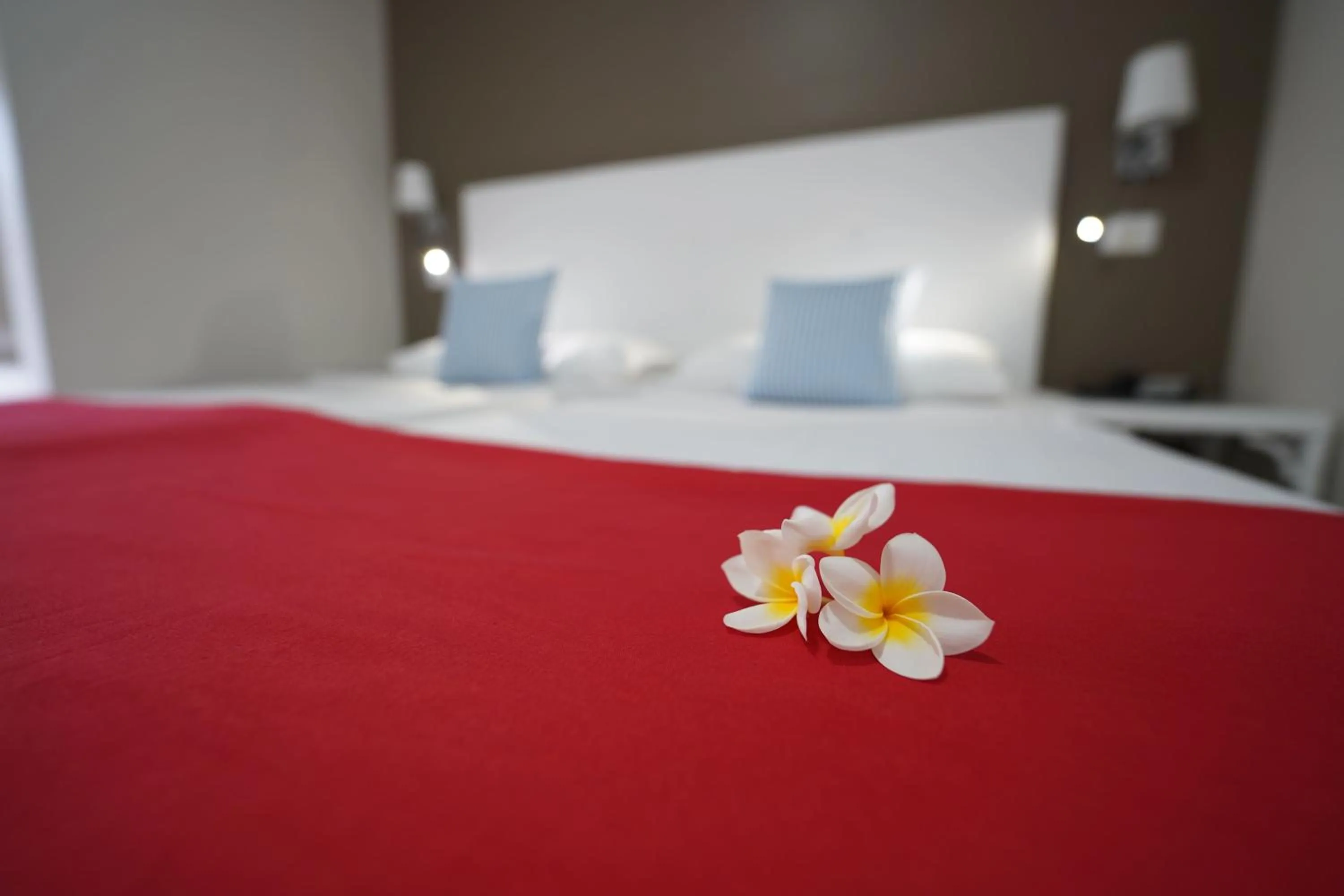 Bed in Hotel RF San Borondon