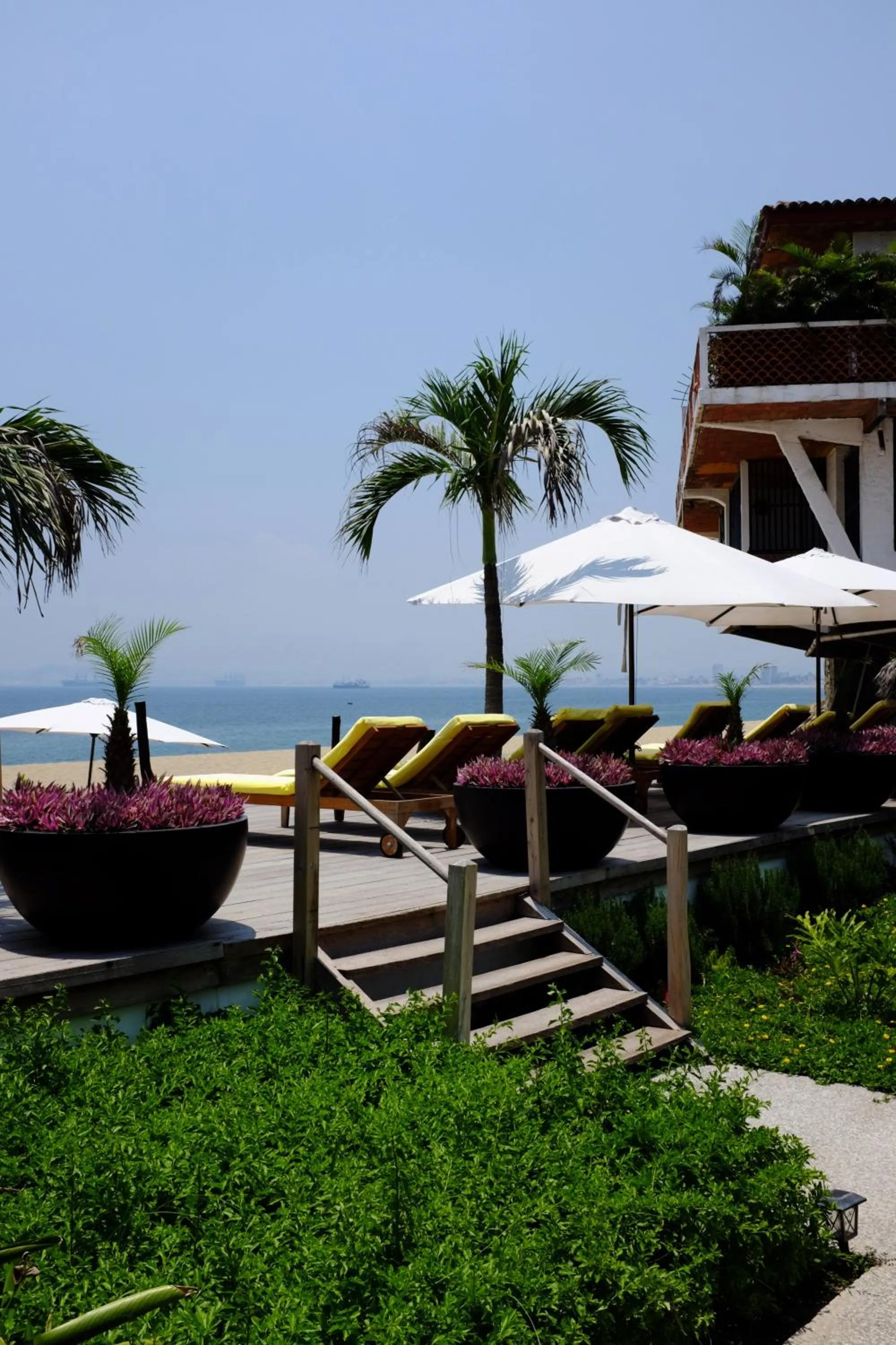 Garden in La Posada Hotel Boutique