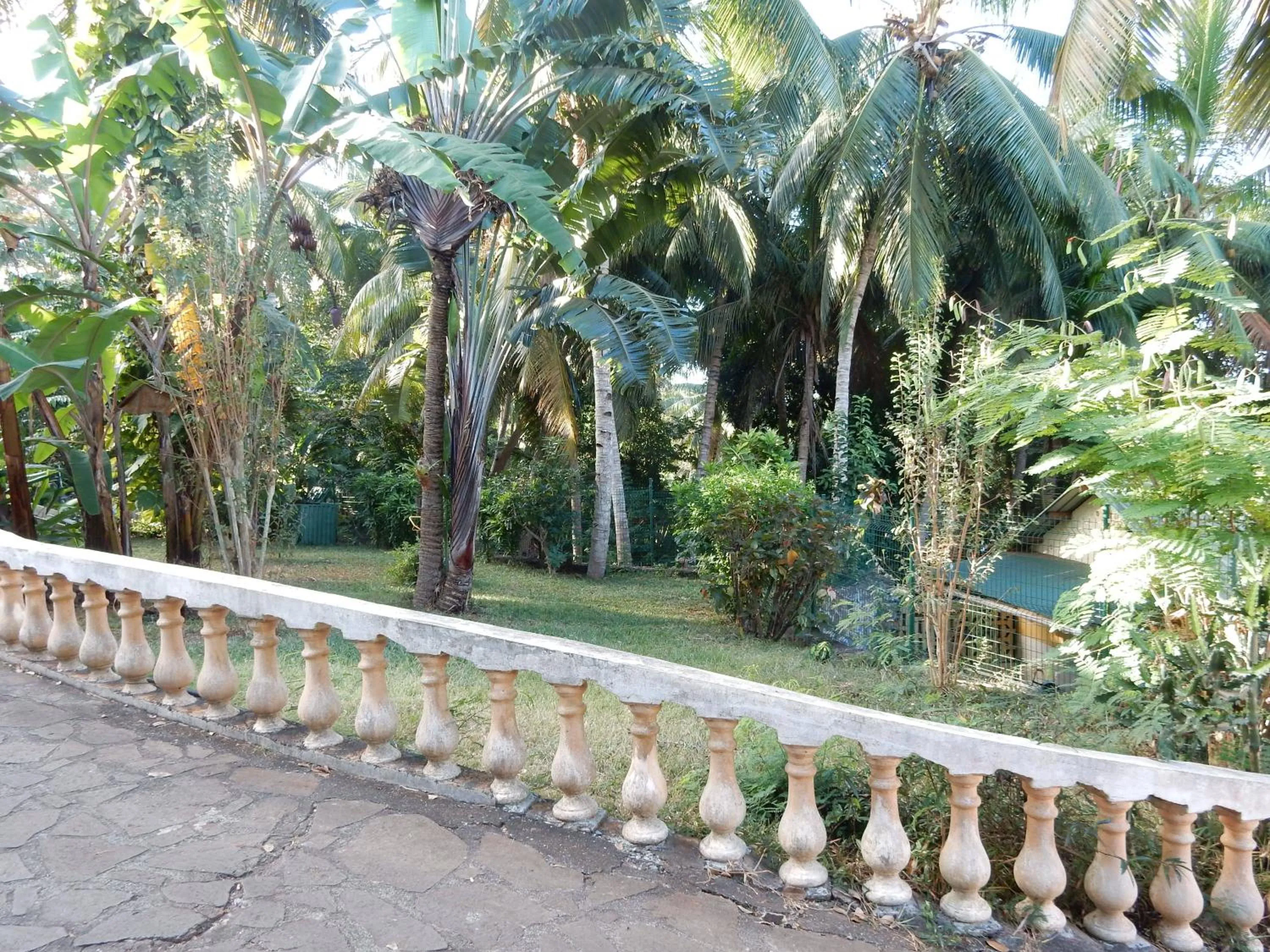 Garden in Sarl Mayoume
