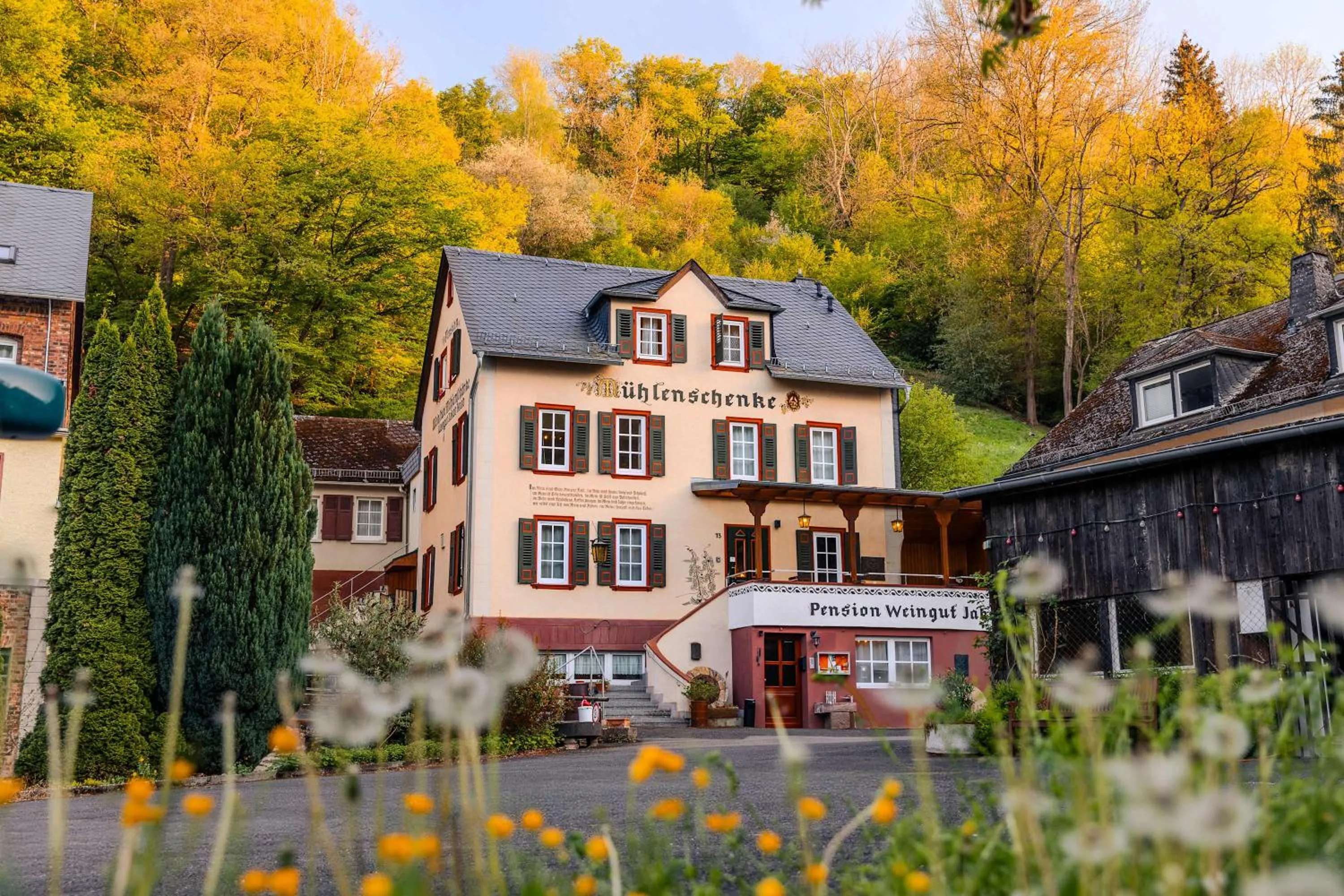 Weingut Muehlenschenke - Game-Room, Vineyard, Sauna and more