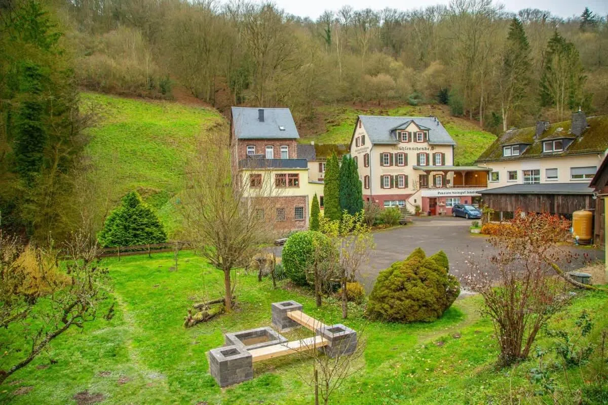 Weingut Muehlenschenke - Game-Room, Vineyard, Sauna and more