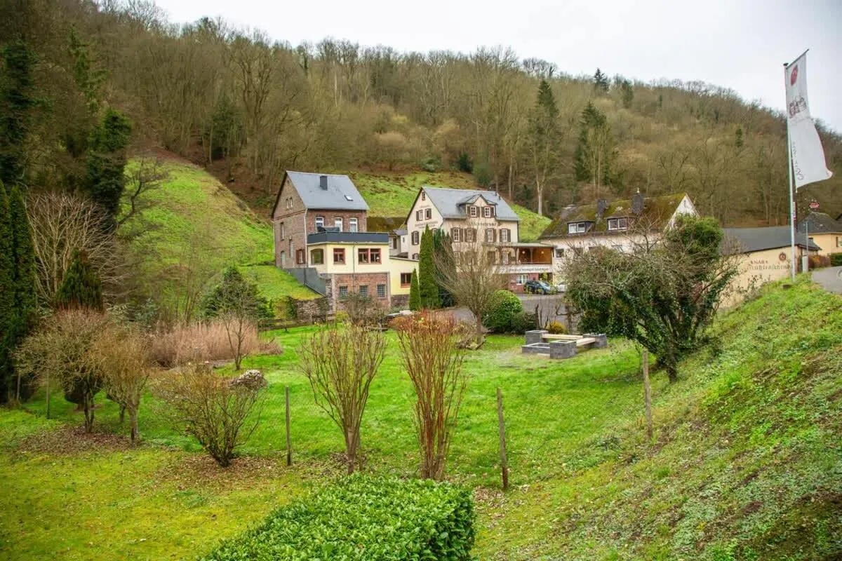 Weingut Muehlenschenke - Game-Room, Vineyard, Sauna and more