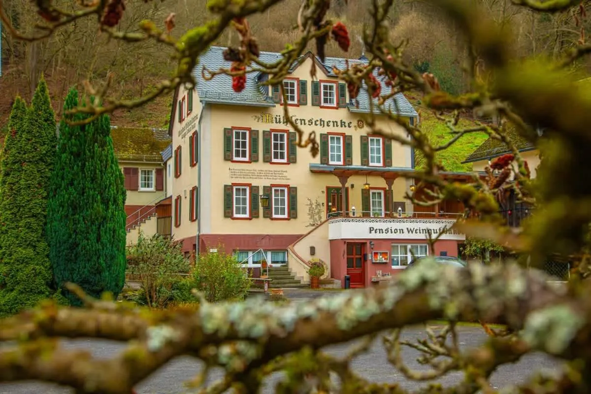 Weingut Muehlenschenke - Game-Room, Vineyard, Sauna and more