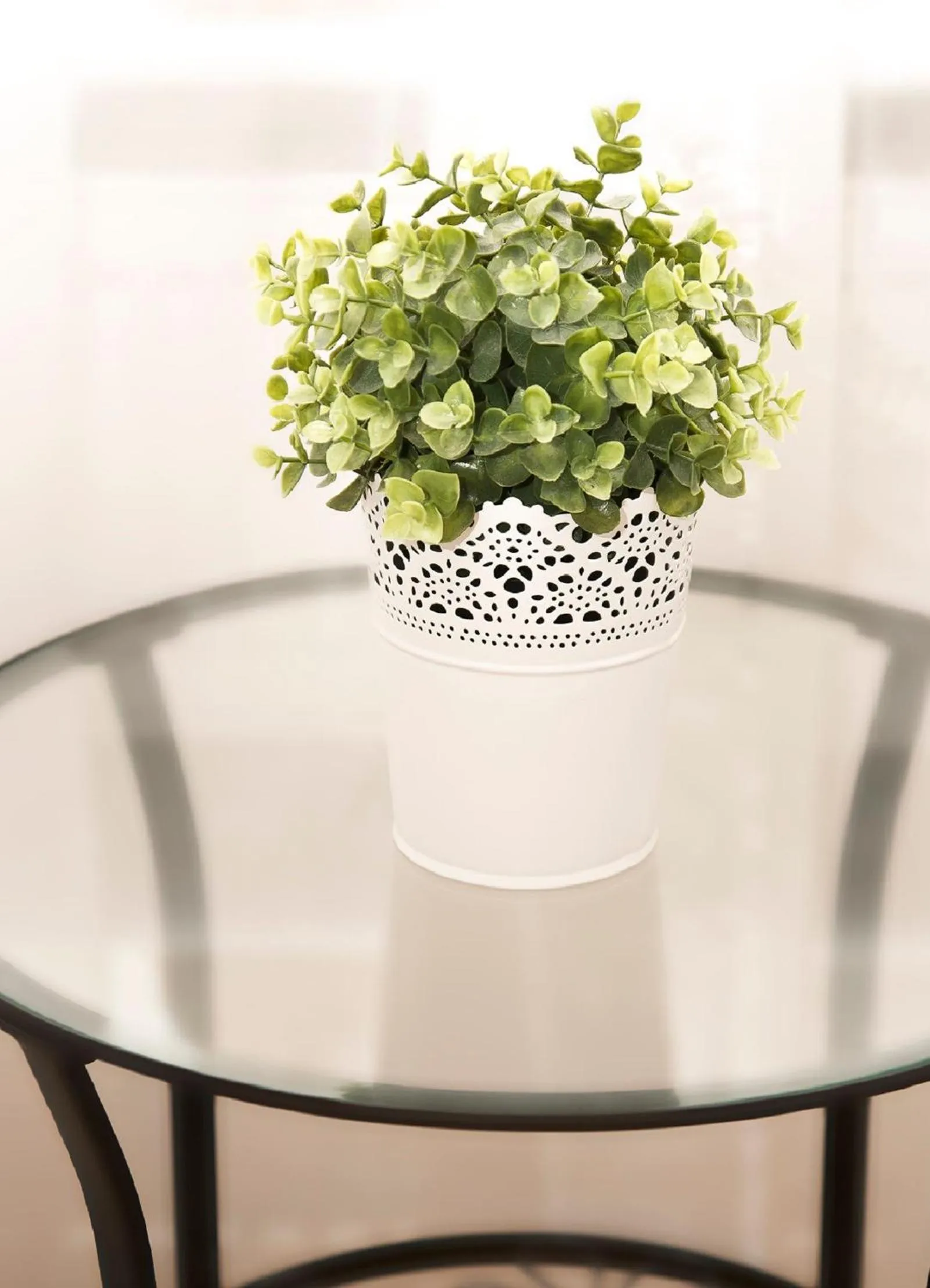 Decorative detail in Hostel Octopus Gdańsk