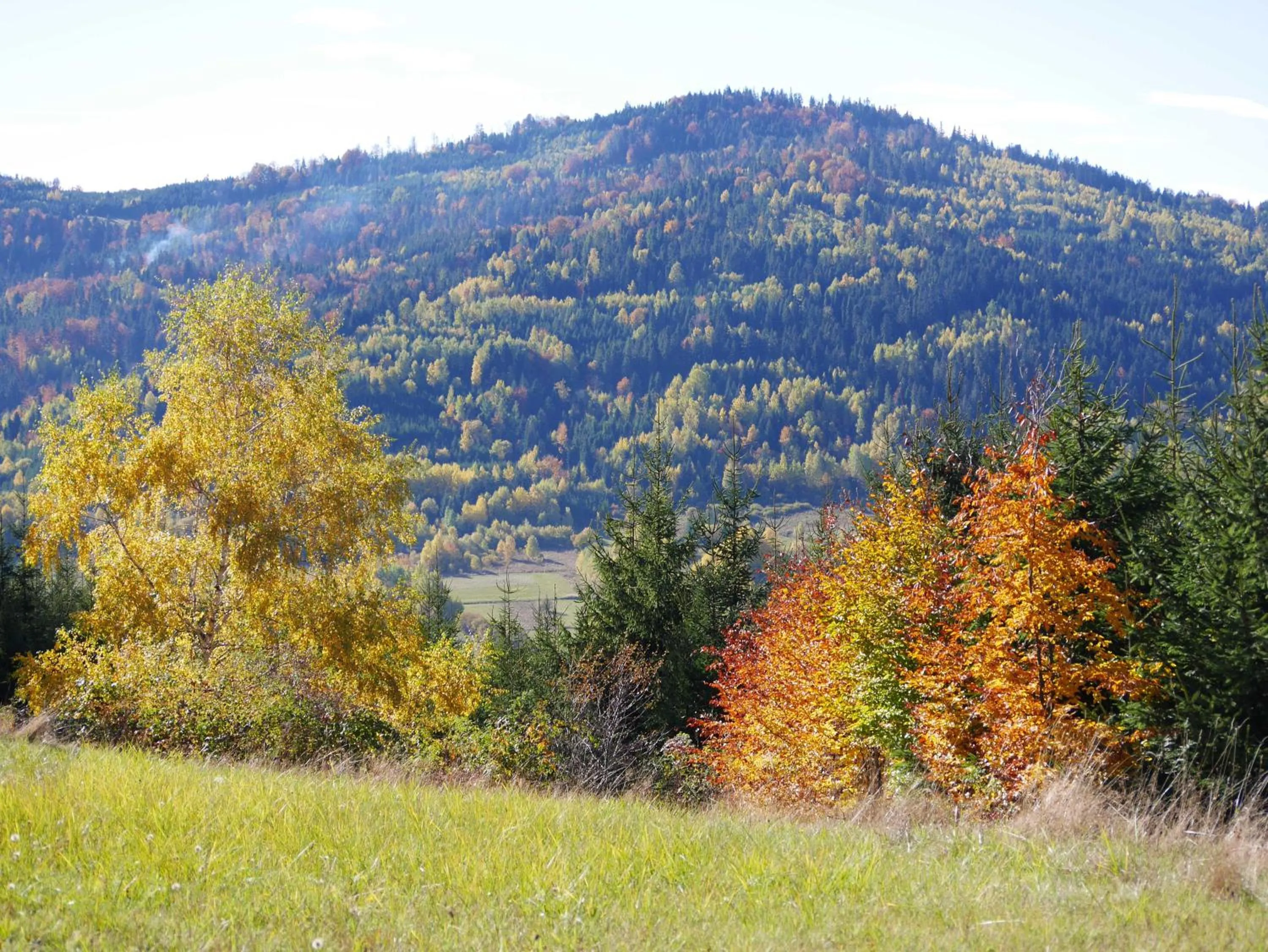 Autumn in Apartamenty przy Hotelu Żywieckim