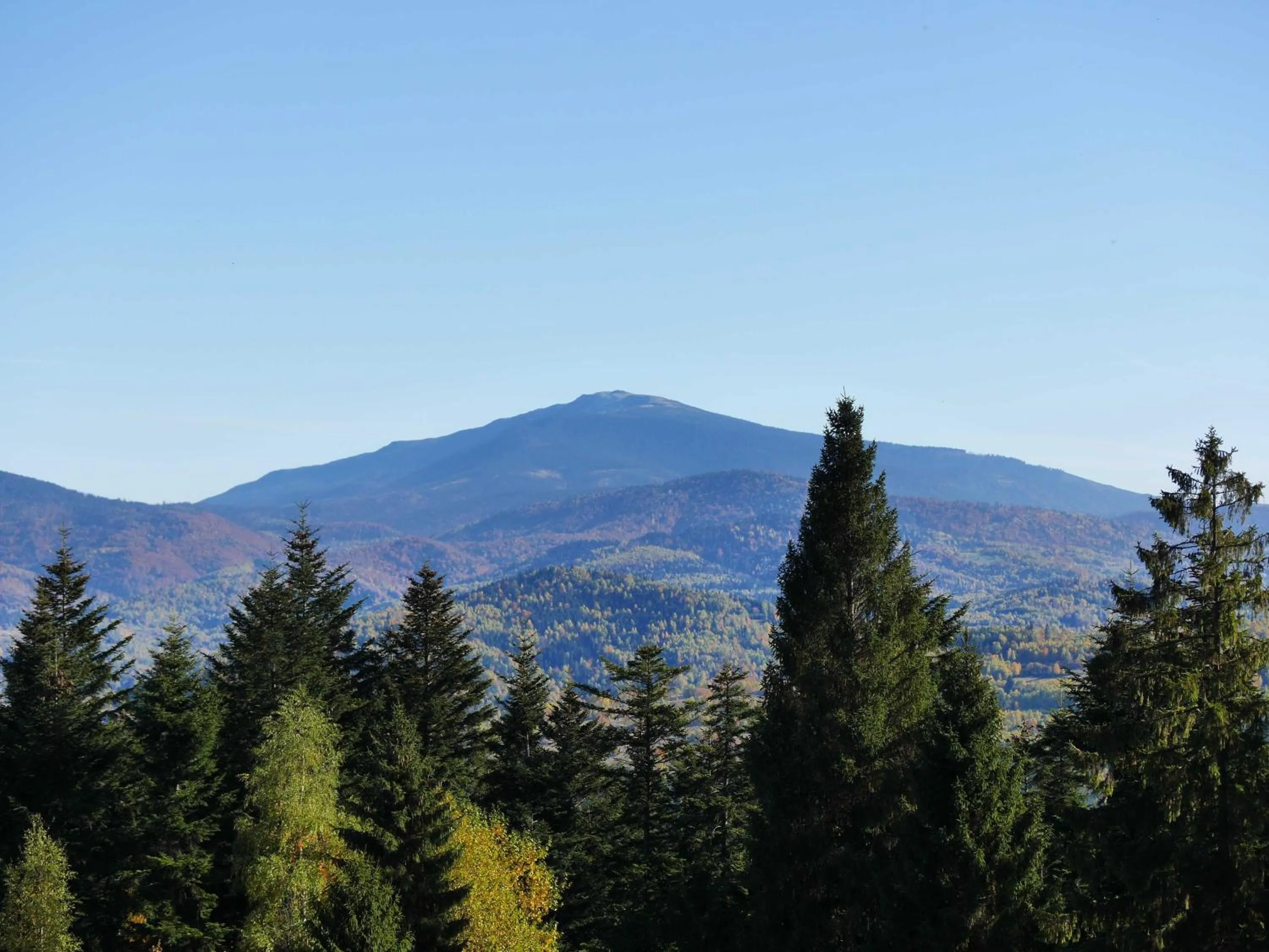 View (from property/room) in Apartamenty przy Hotelu Żywieckim