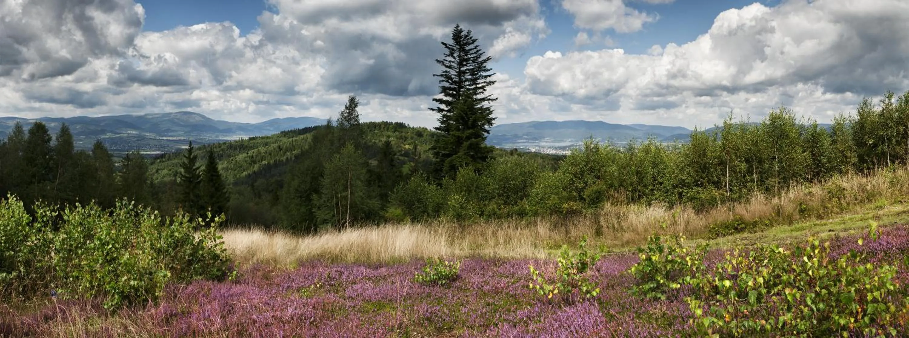Hiking in Apartamenty przy Hotelu Żywieckim
